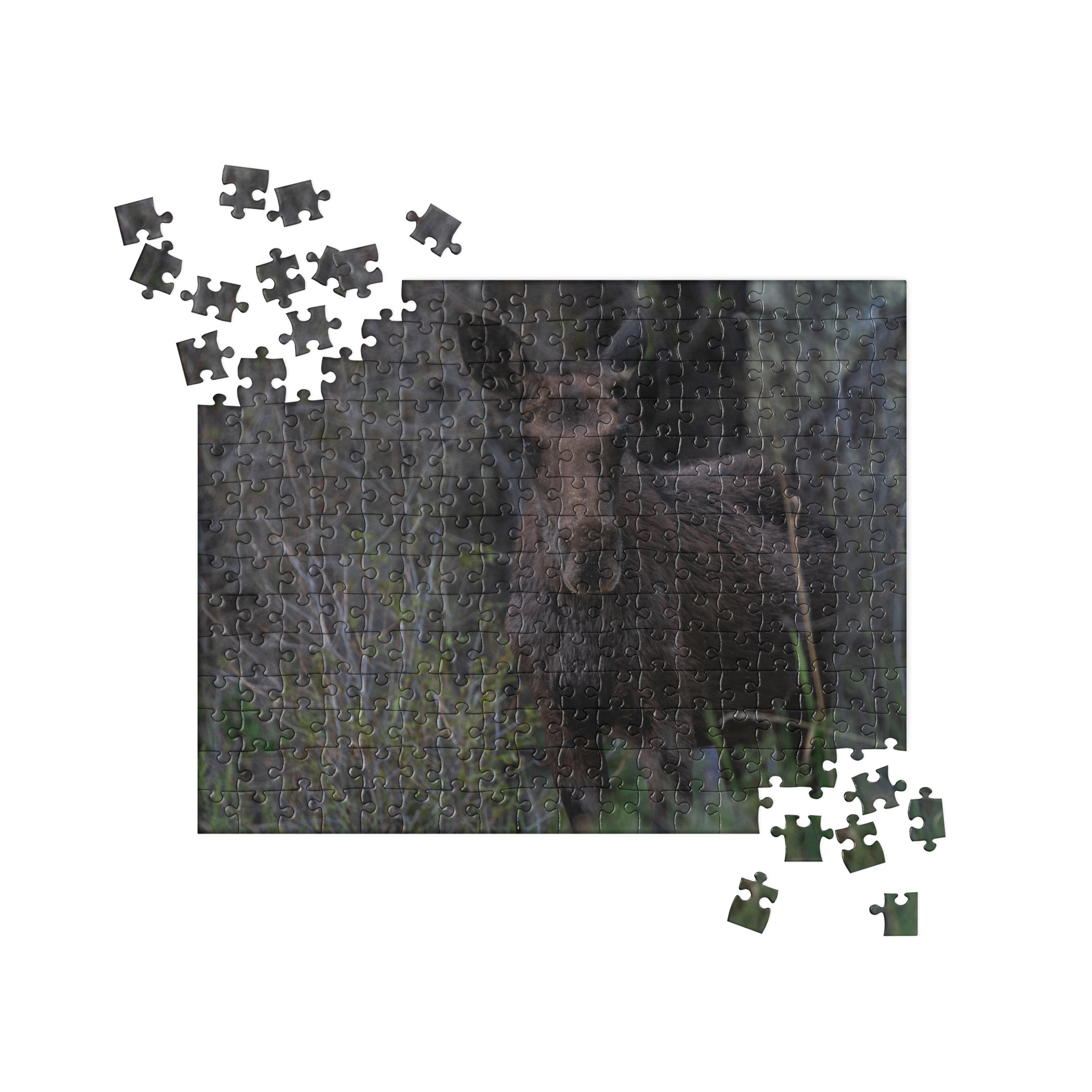 Moose Jigsaw puzzle