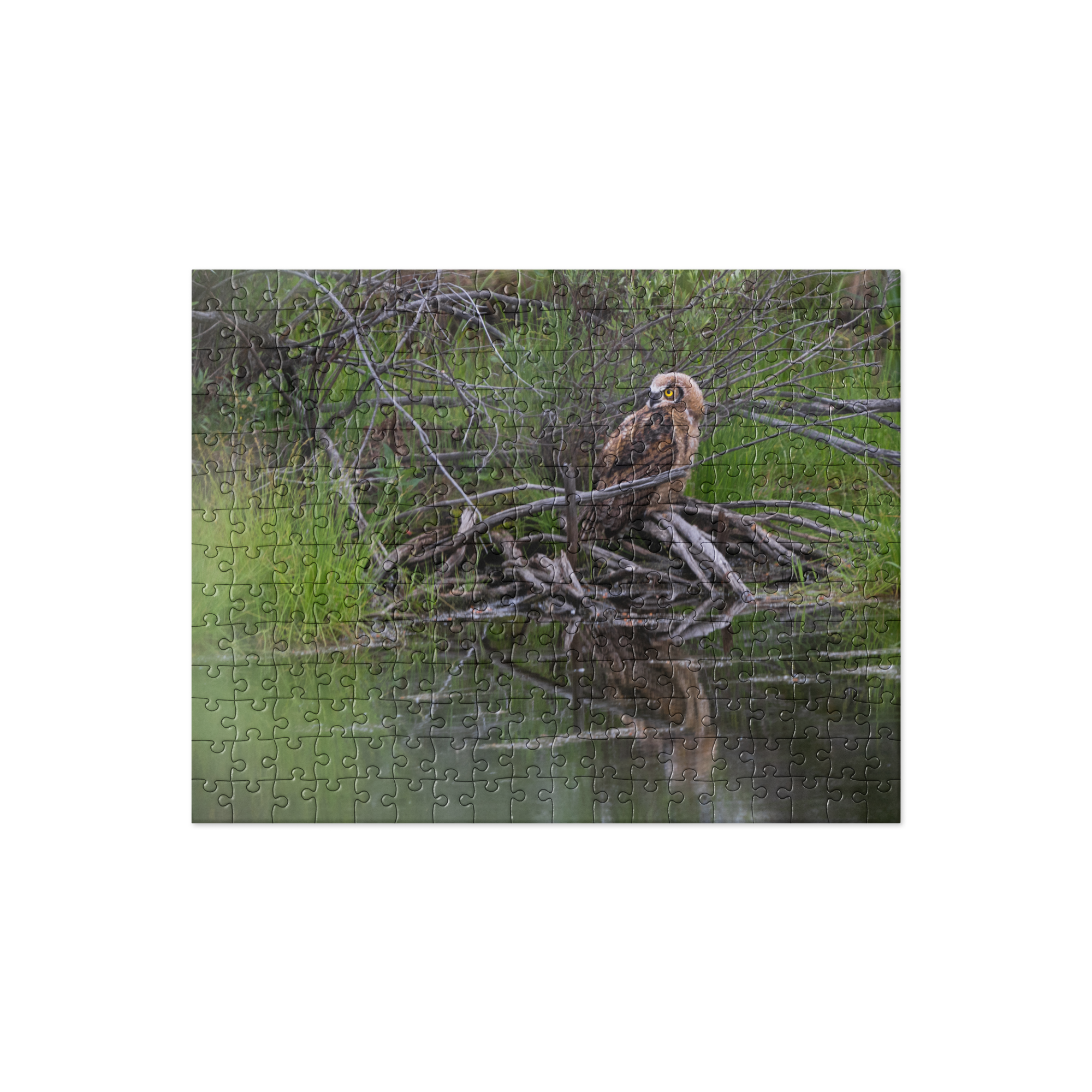 Owlet Jigsaw puzzle