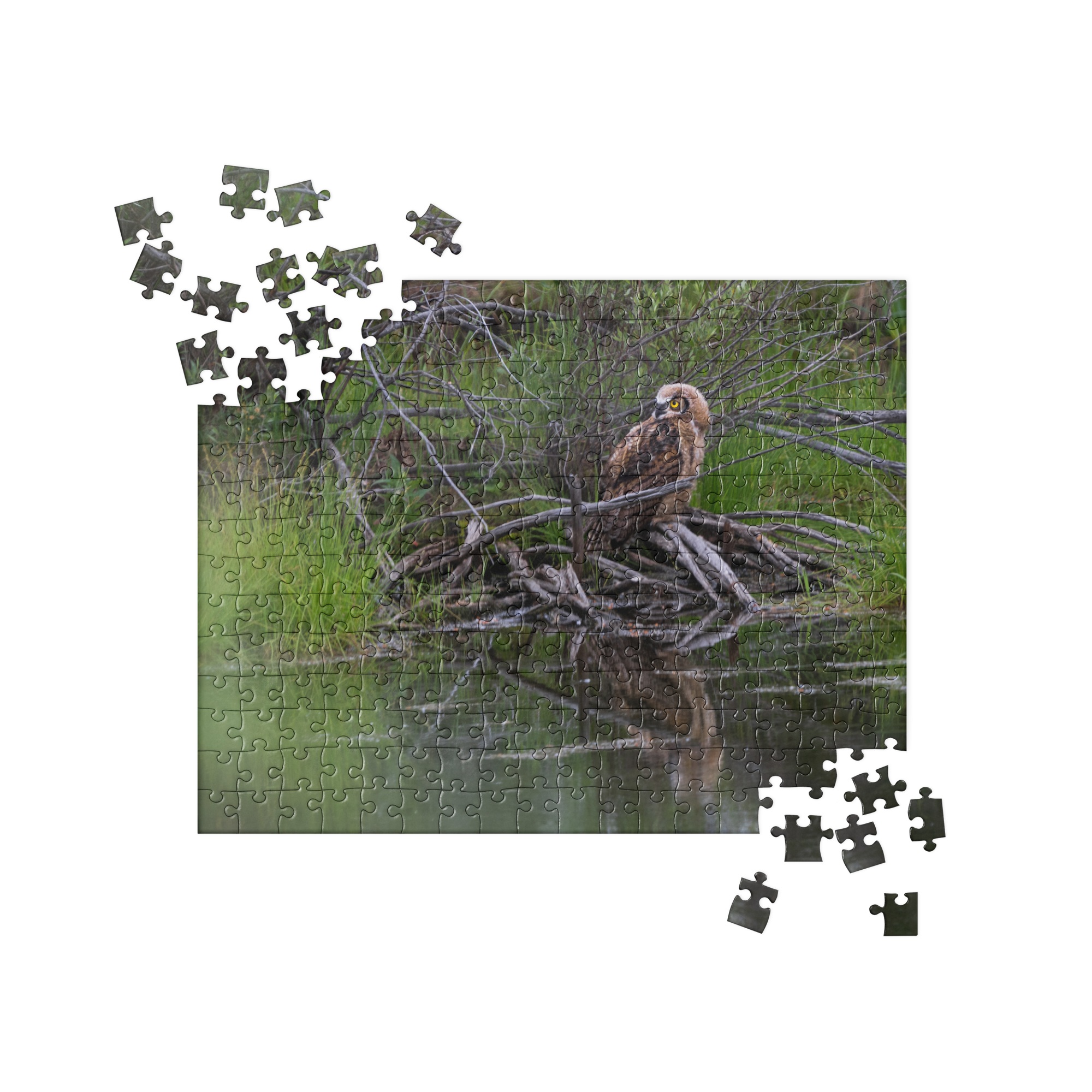 Owlet Jigsaw puzzle
