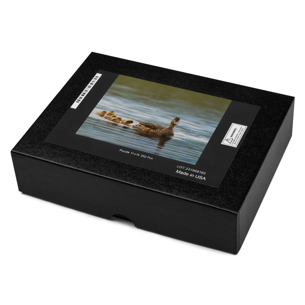 Duck Family Jigsaw puzzle