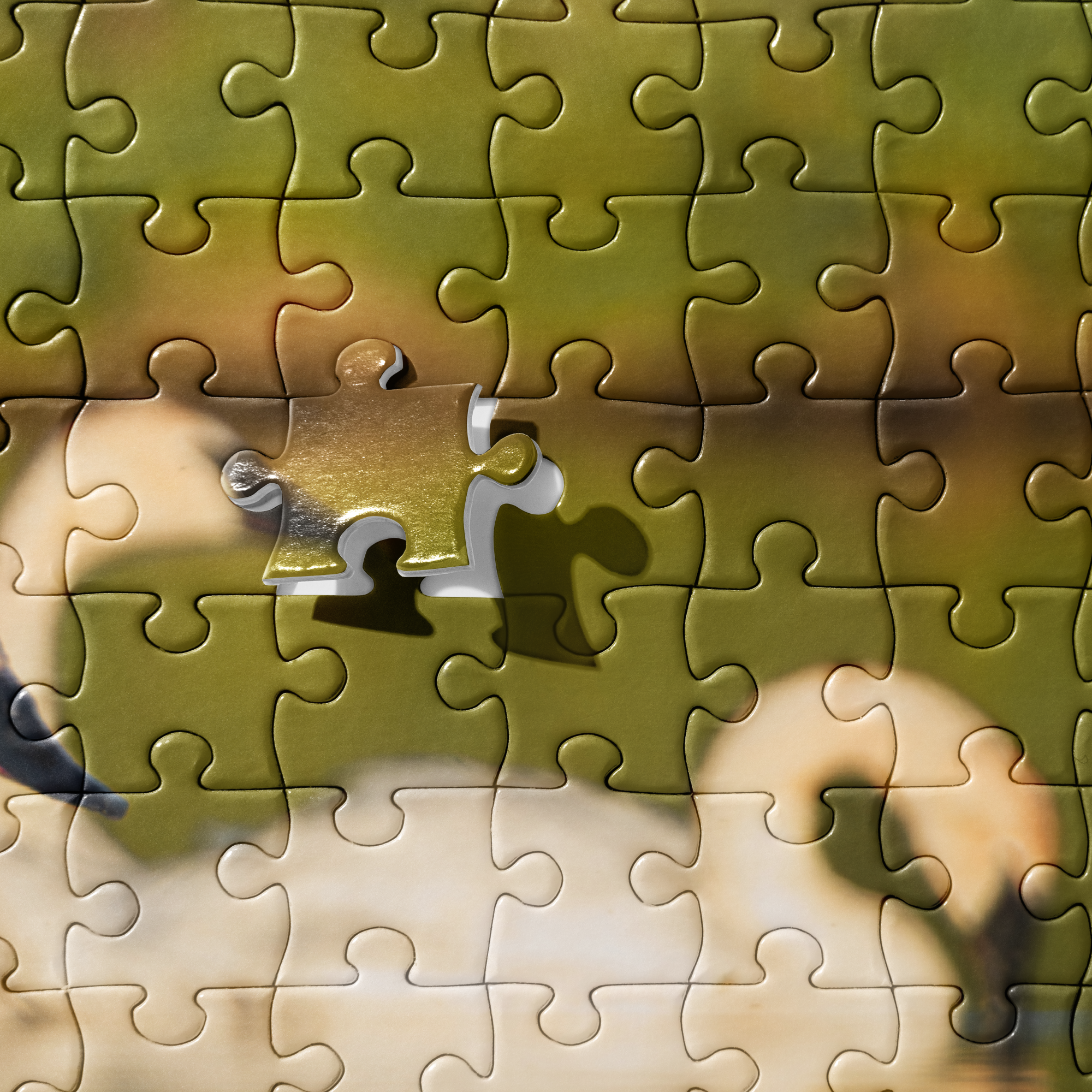 Swans Jigsaw puzzle