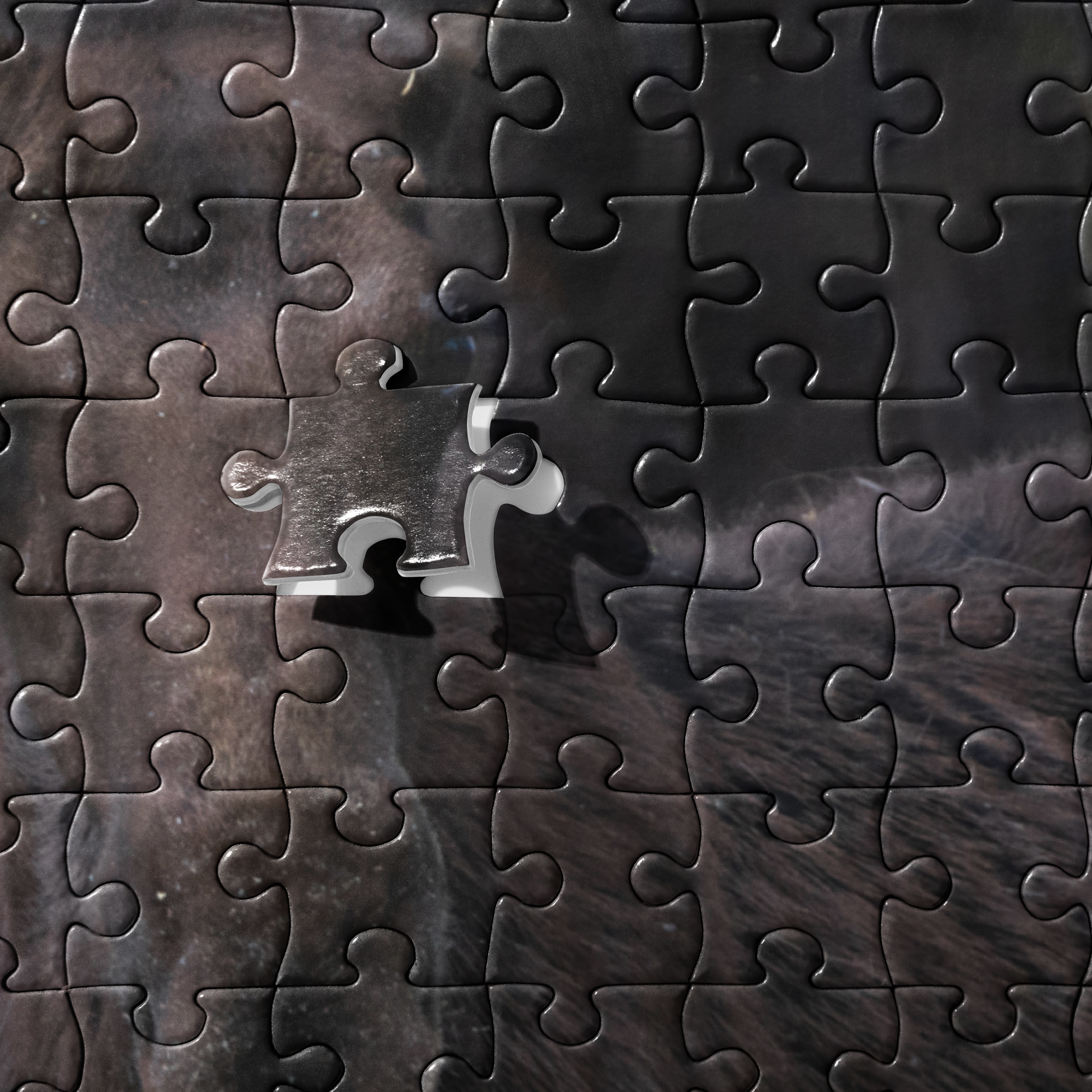 Moose Jigsaw puzzle