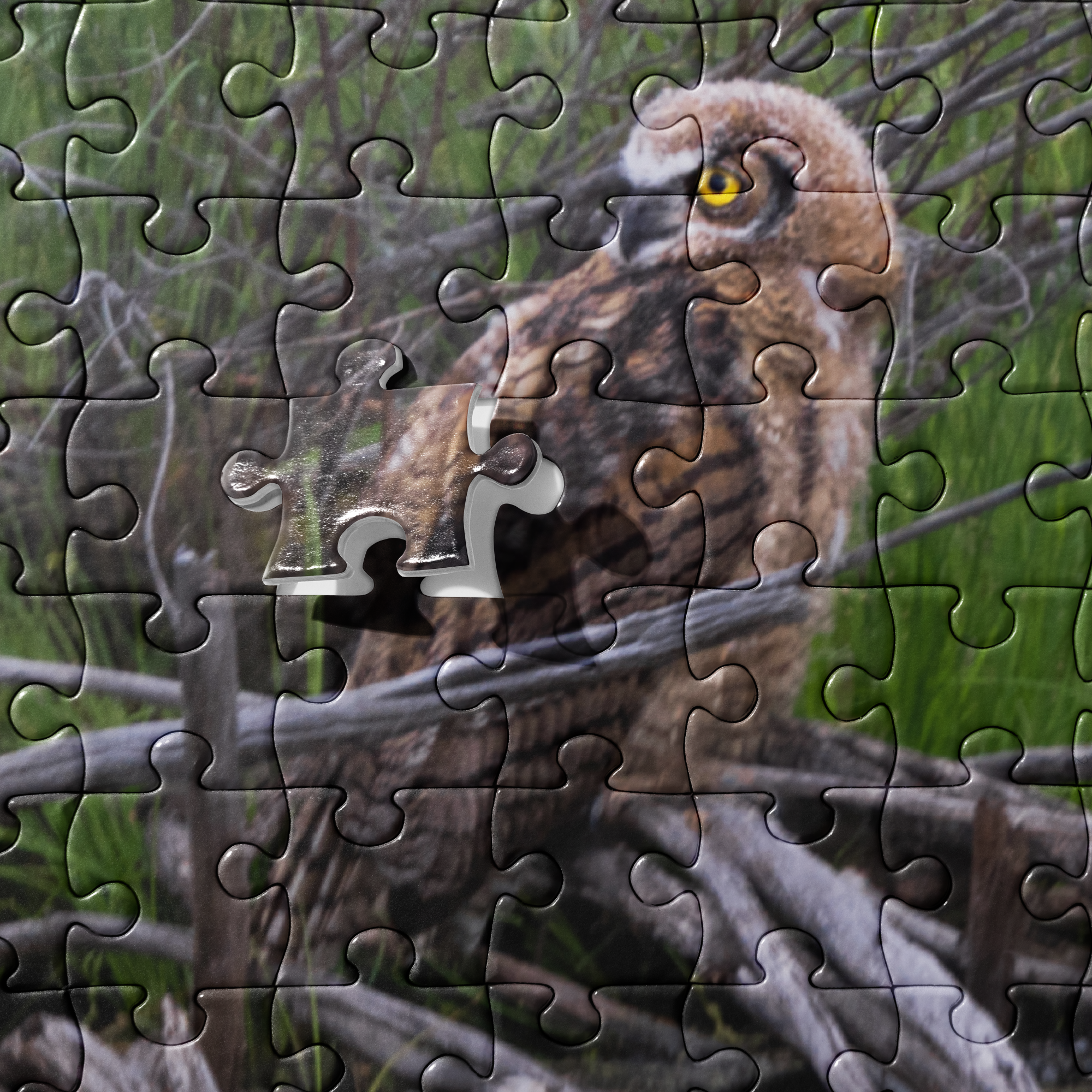 Owlet Jigsaw puzzle