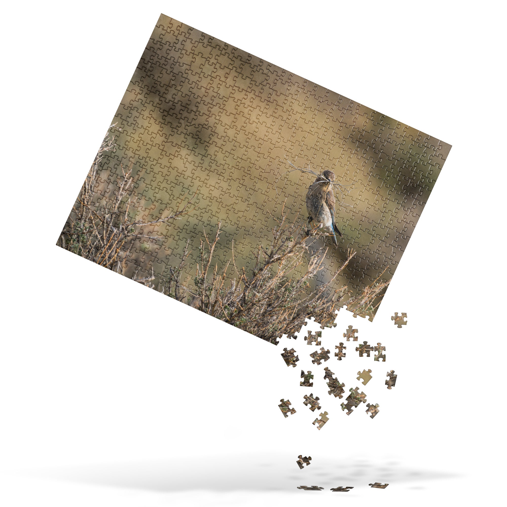 Female Mountain Bluebird Jigsaw puzzle