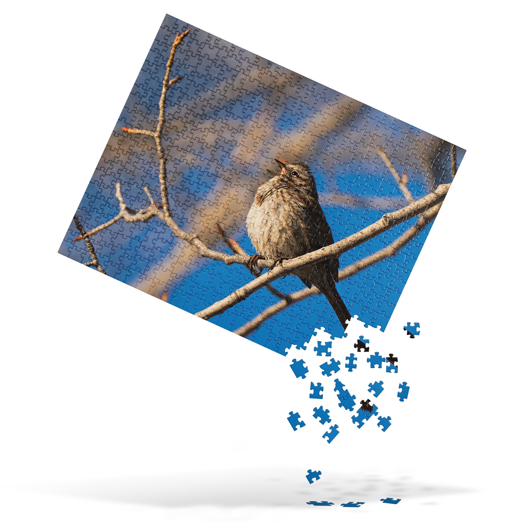 Song Sparrow Jigsaw puzzle