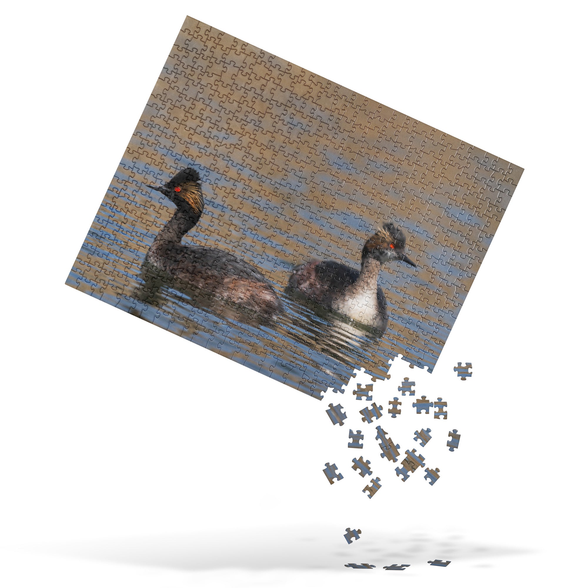 Eered Grebe Jigsaw puzzle