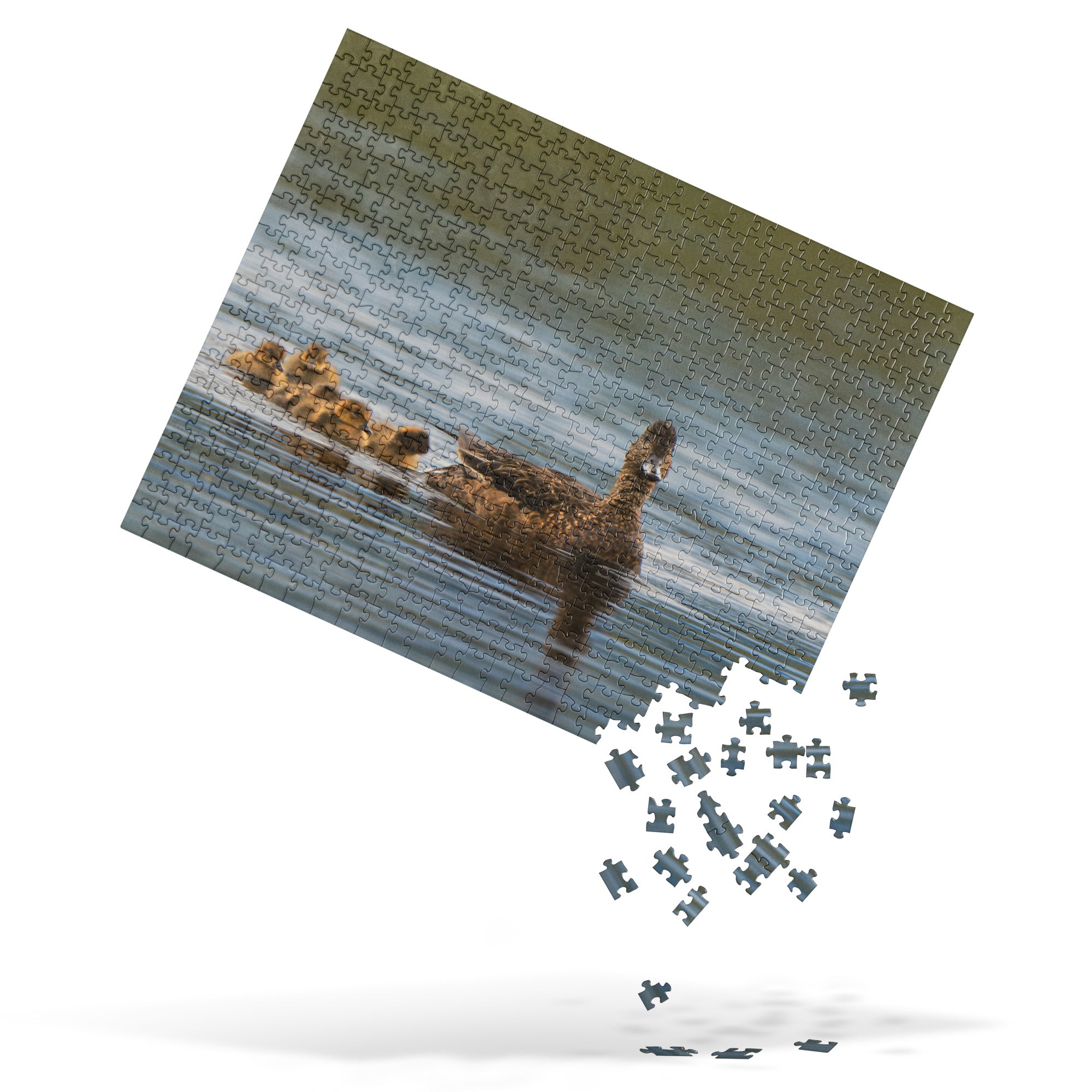 Duck Family Jigsaw puzzle