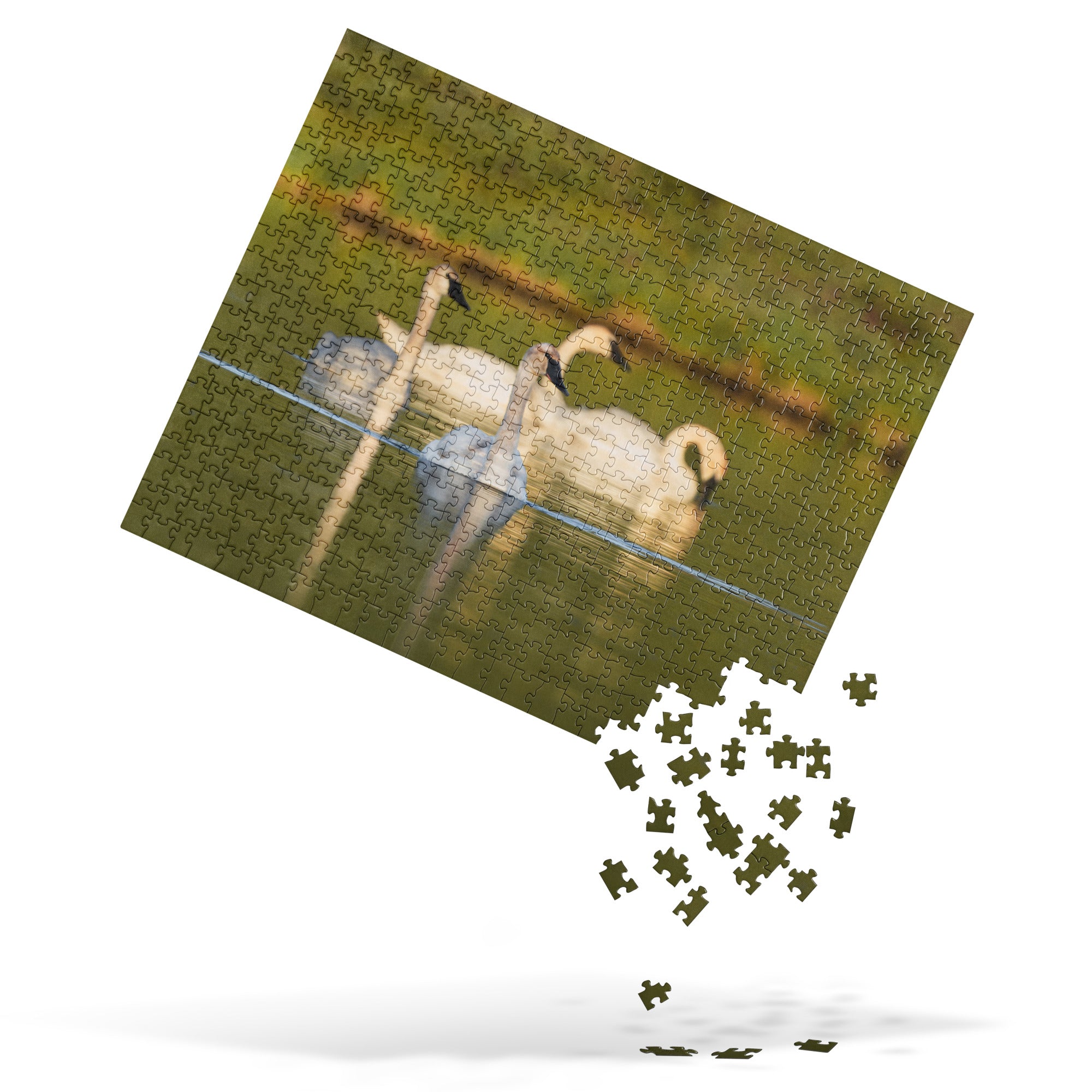 Swans Jigsaw puzzle
