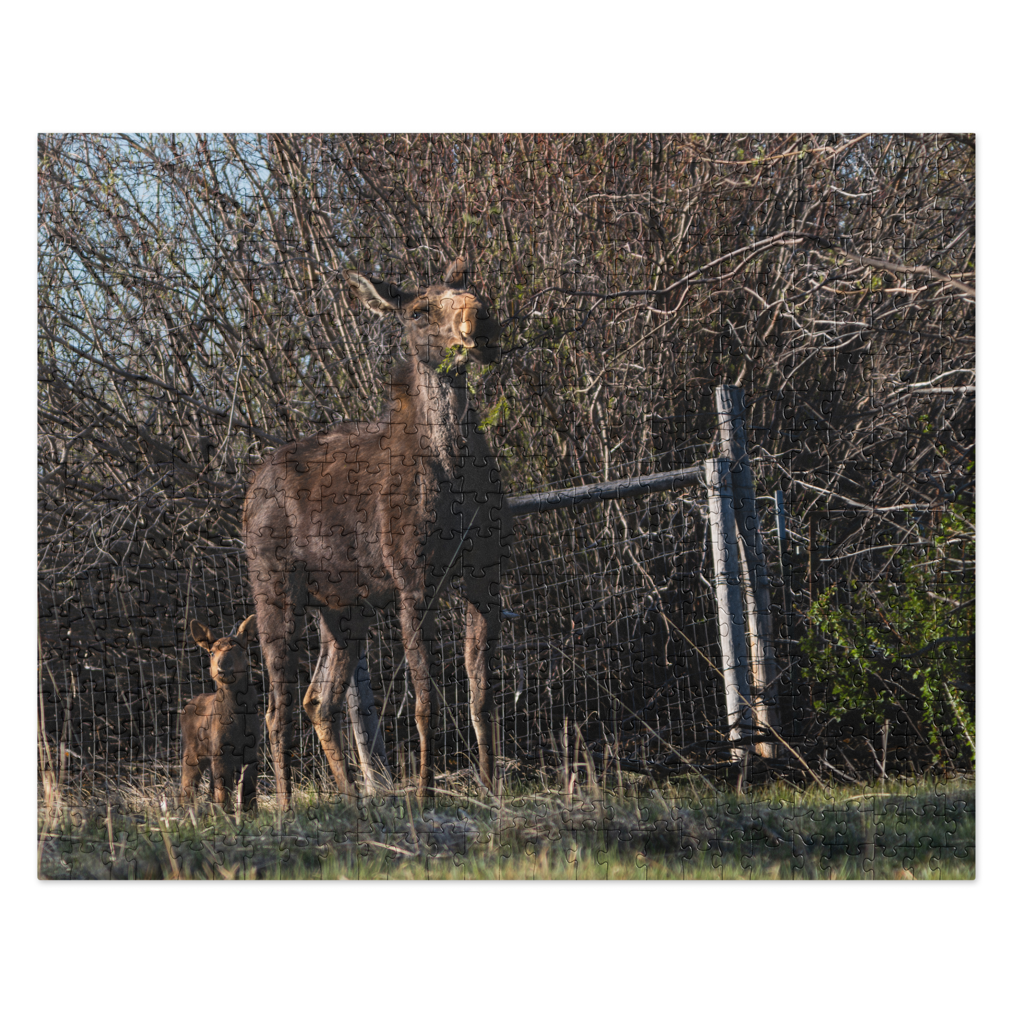 Mamma Moose with Baby Moose Jigsaw puzzle
