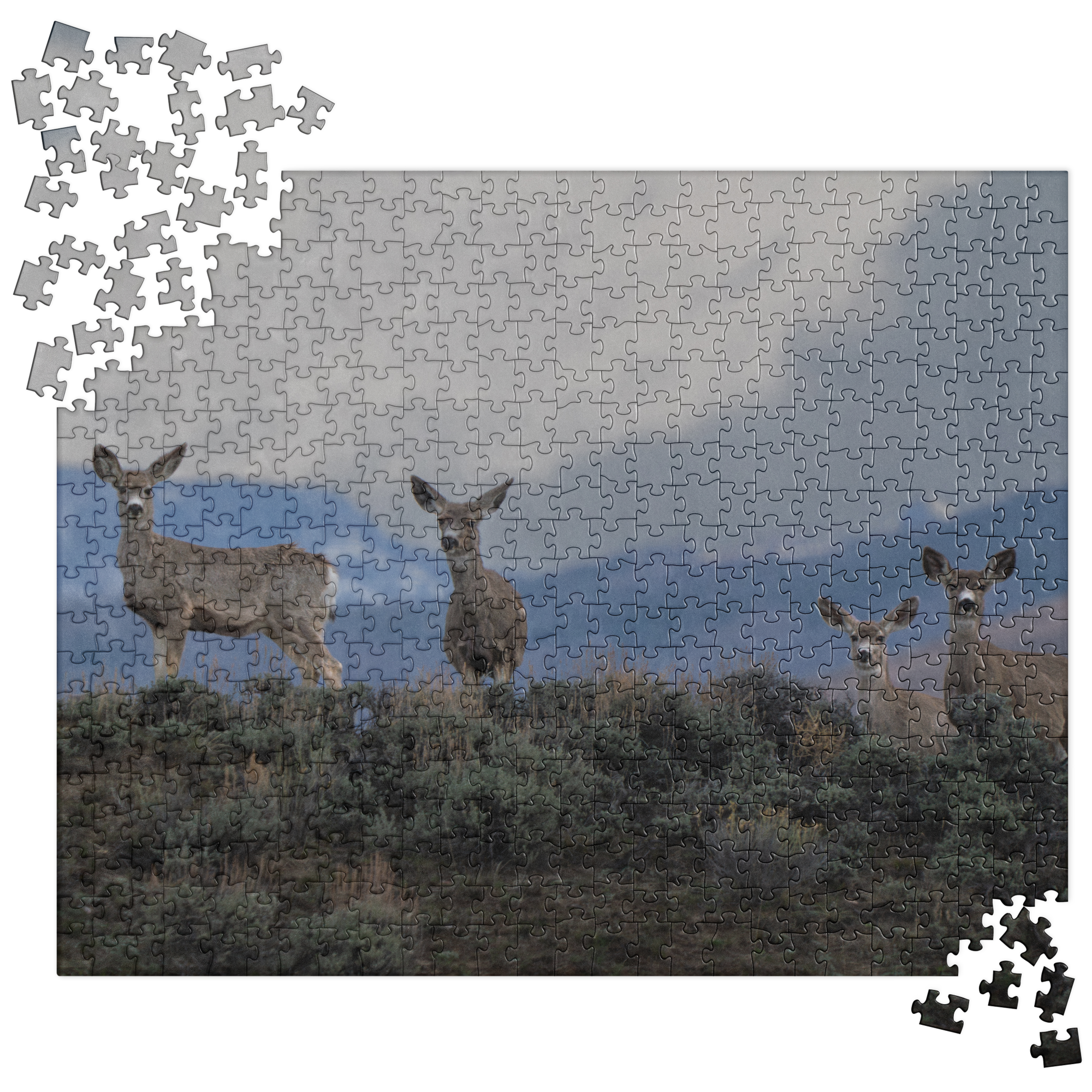 Mule Deer Jigsaw puzzle