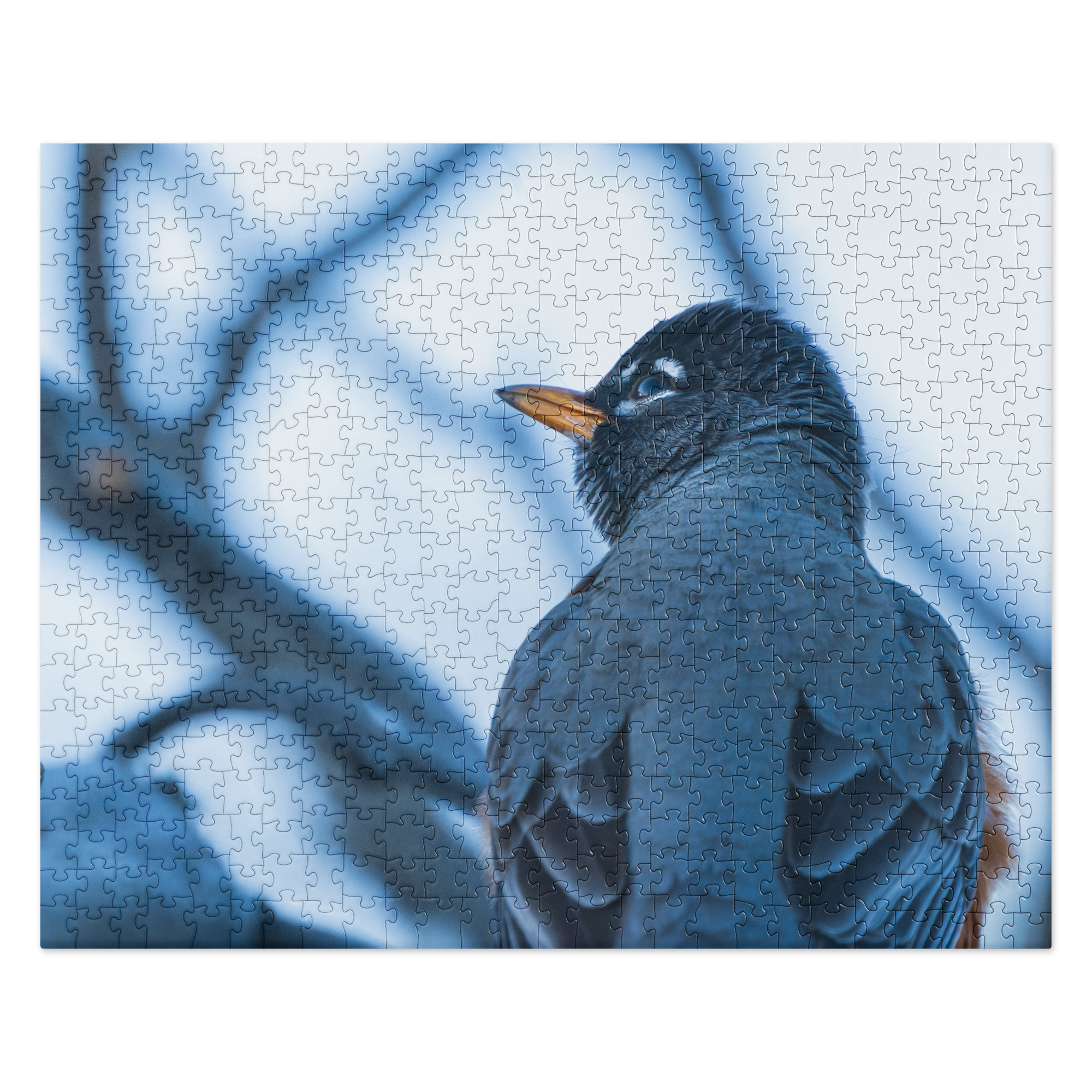 Robin Jigsaw puzzle