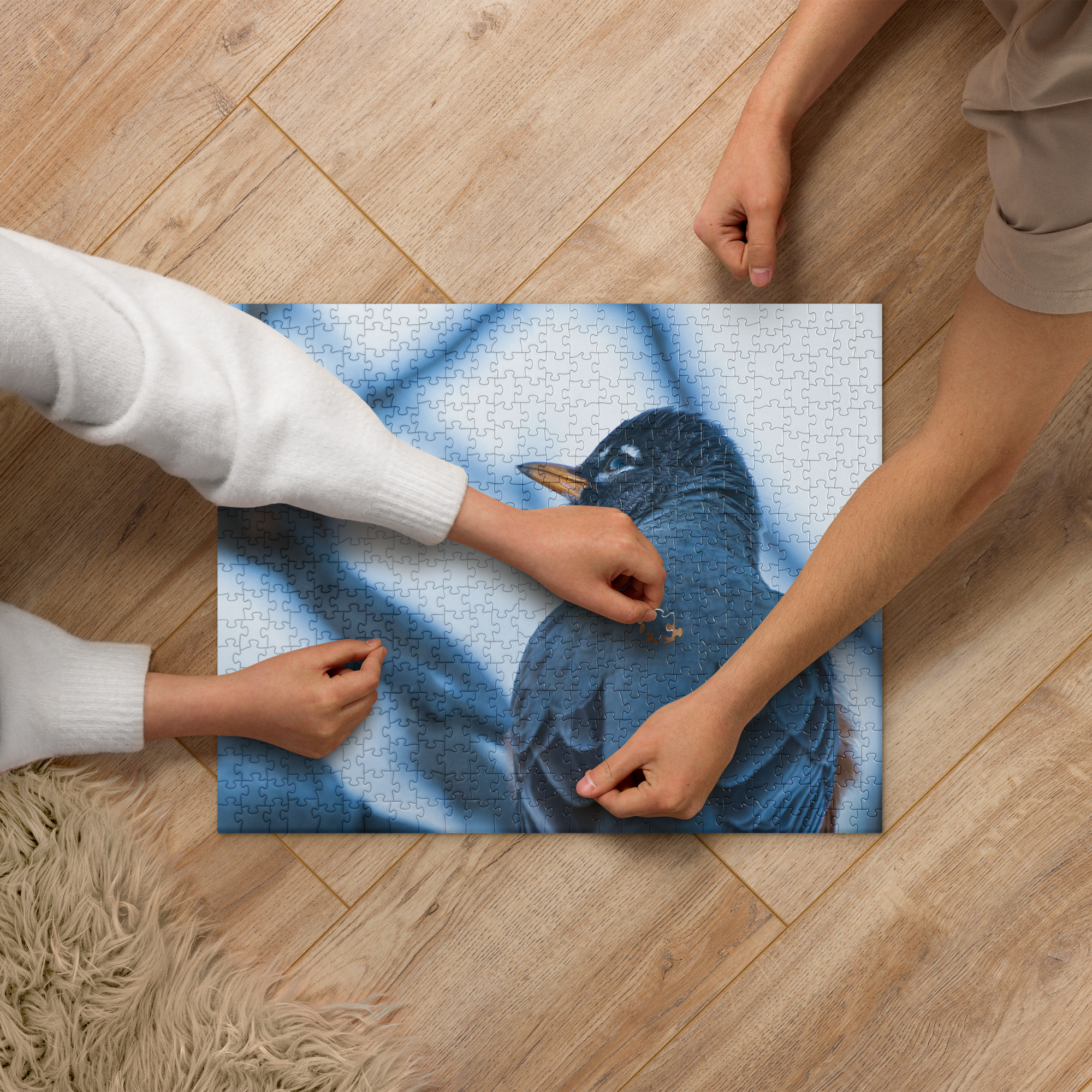 Robin Jigsaw puzzle