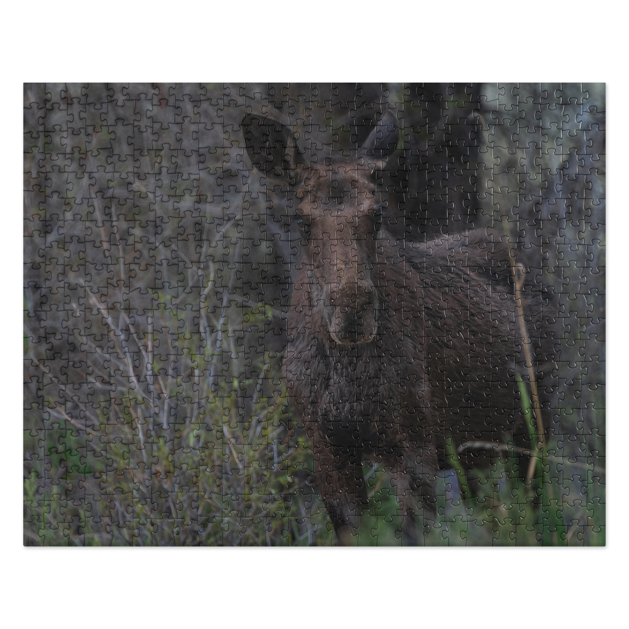 Moose Jigsaw puzzle