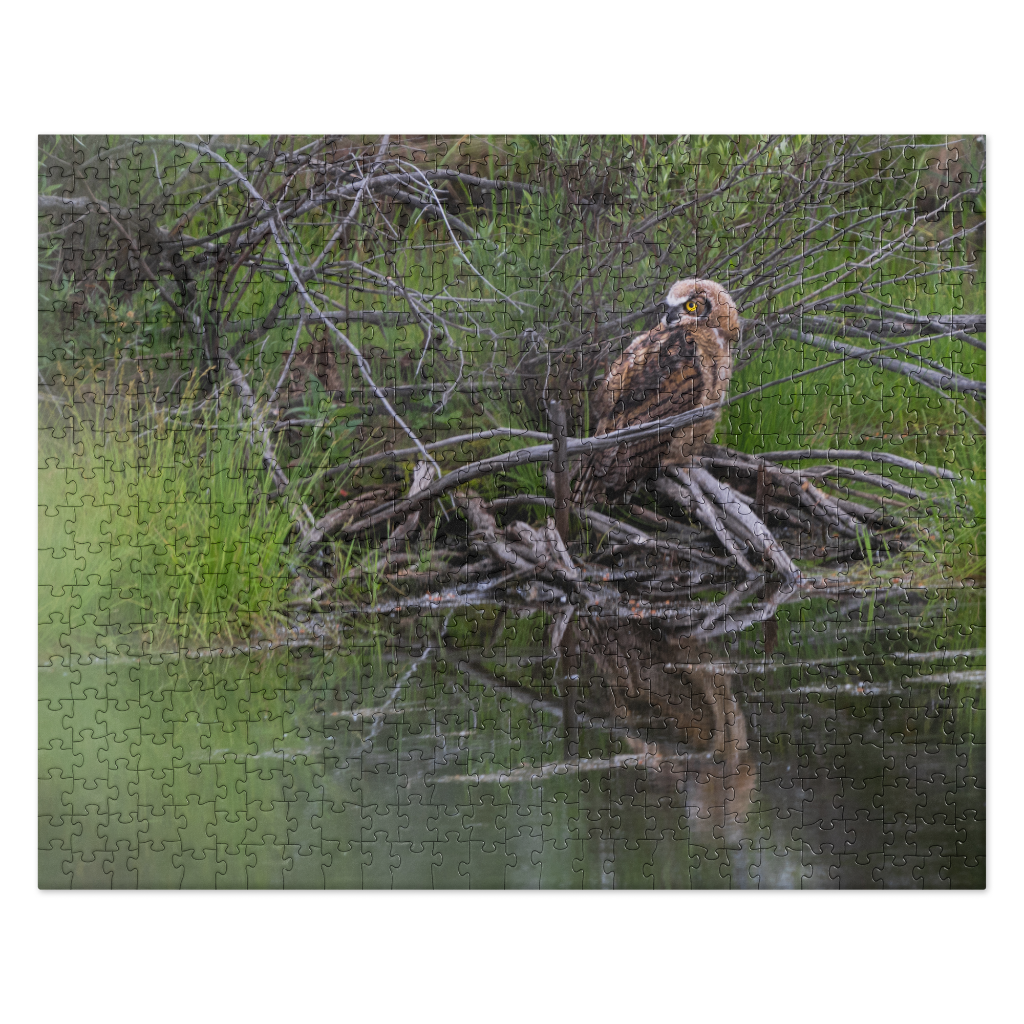 Owlet Jigsaw puzzle