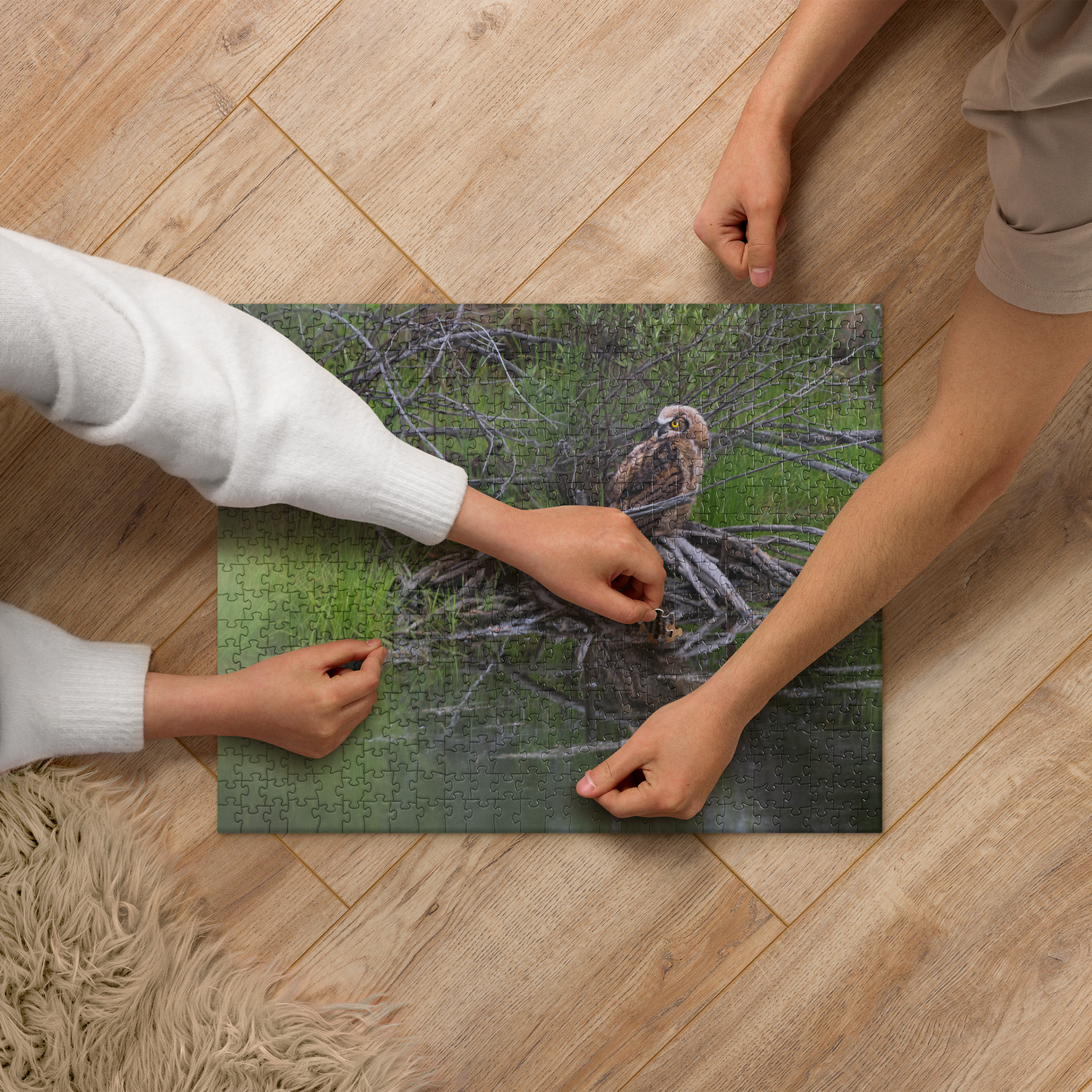 Owlet Jigsaw puzzle
