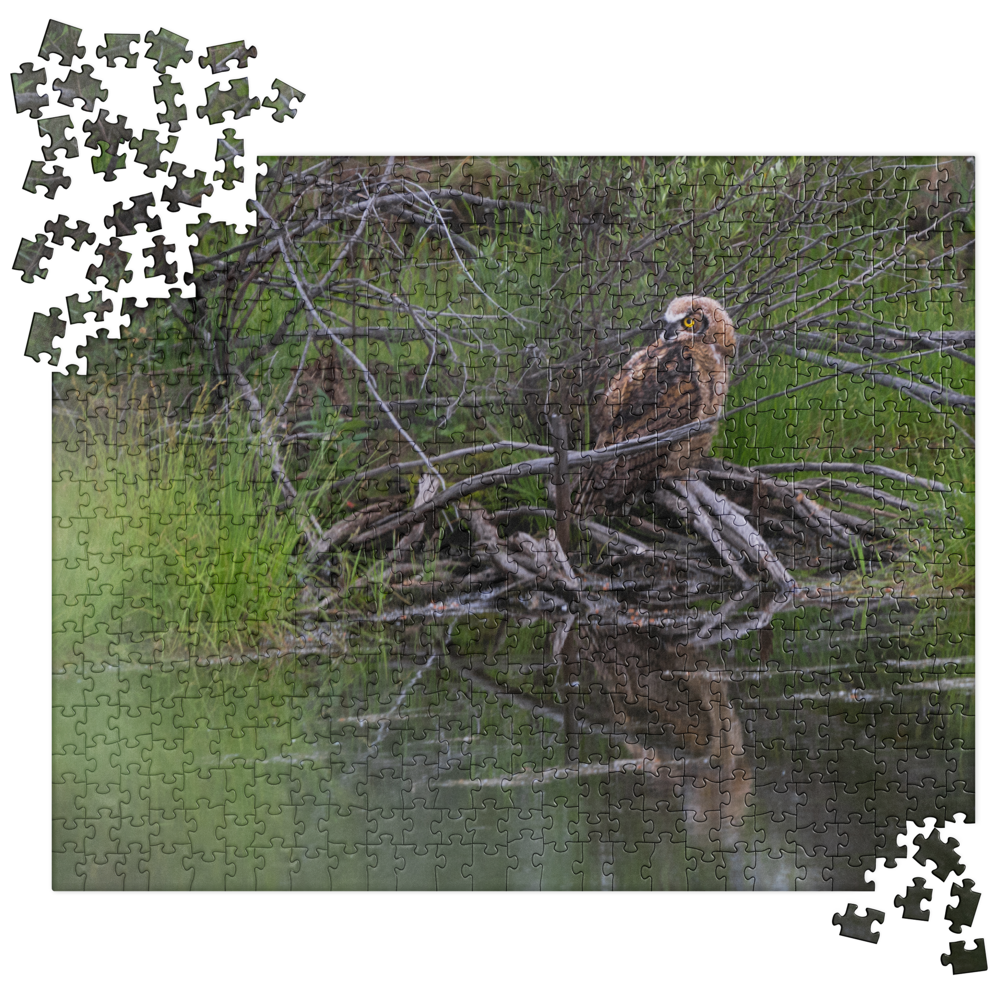 Owlet Jigsaw puzzle