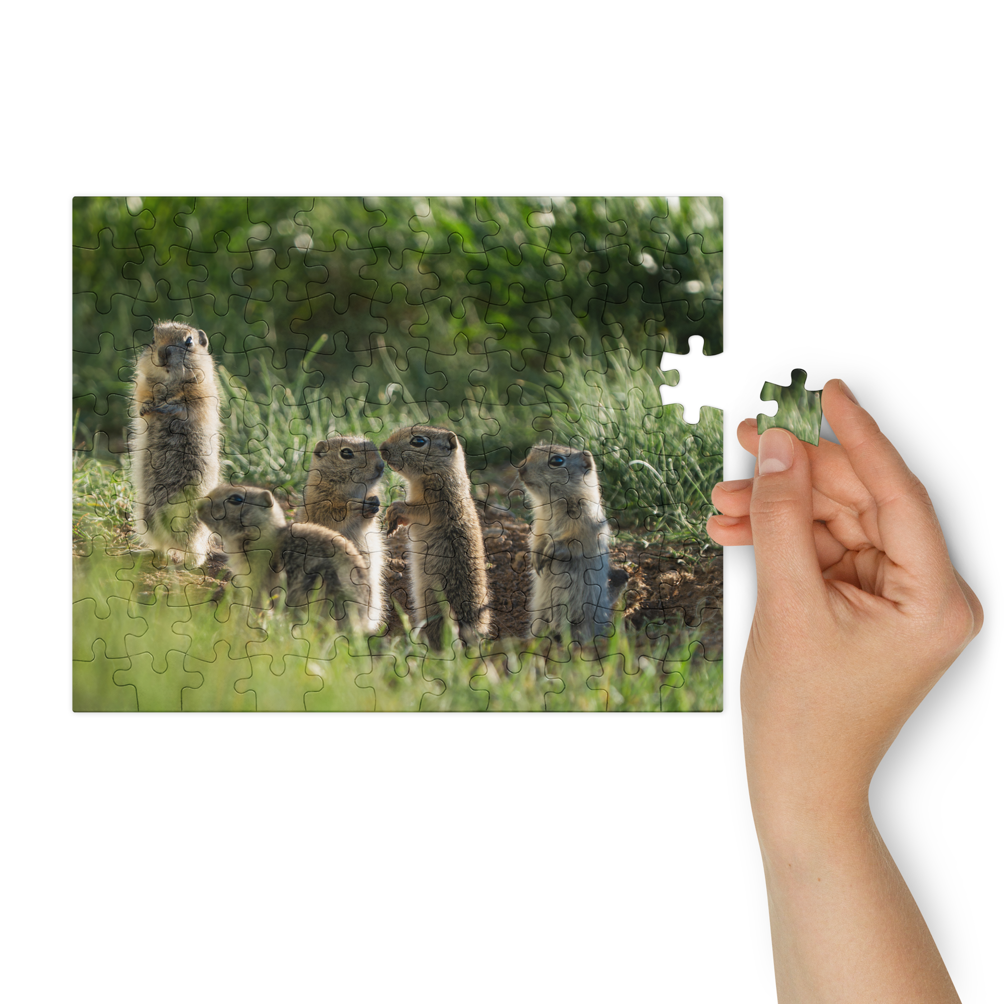 Baby Ground Squirrel Puzzle — Discover Tiny Wonders, Piece by Piece