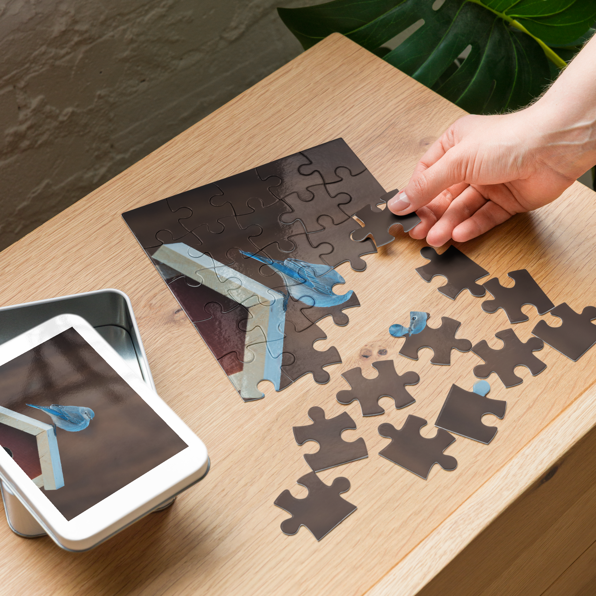 Mountain Bluebird Puzzle — Capture the Joy of Tiny Wings, Piece by Piece