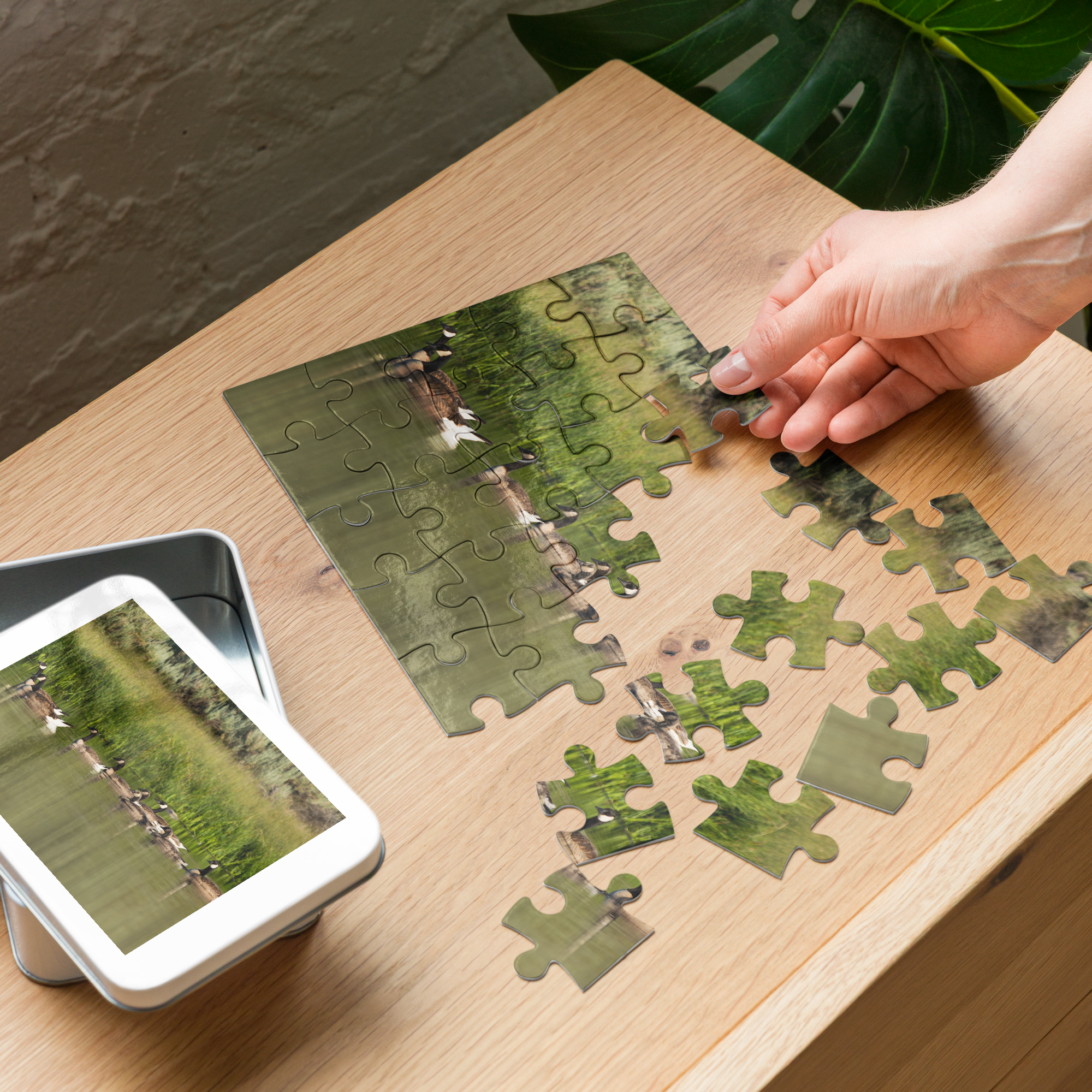 Canada Geese Jigsaw puzzle with tin