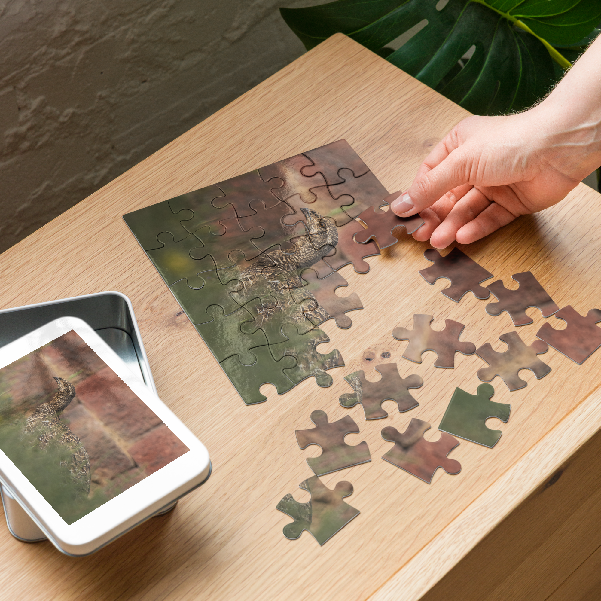 Sage Grouse Jigsaw puzzle with tin