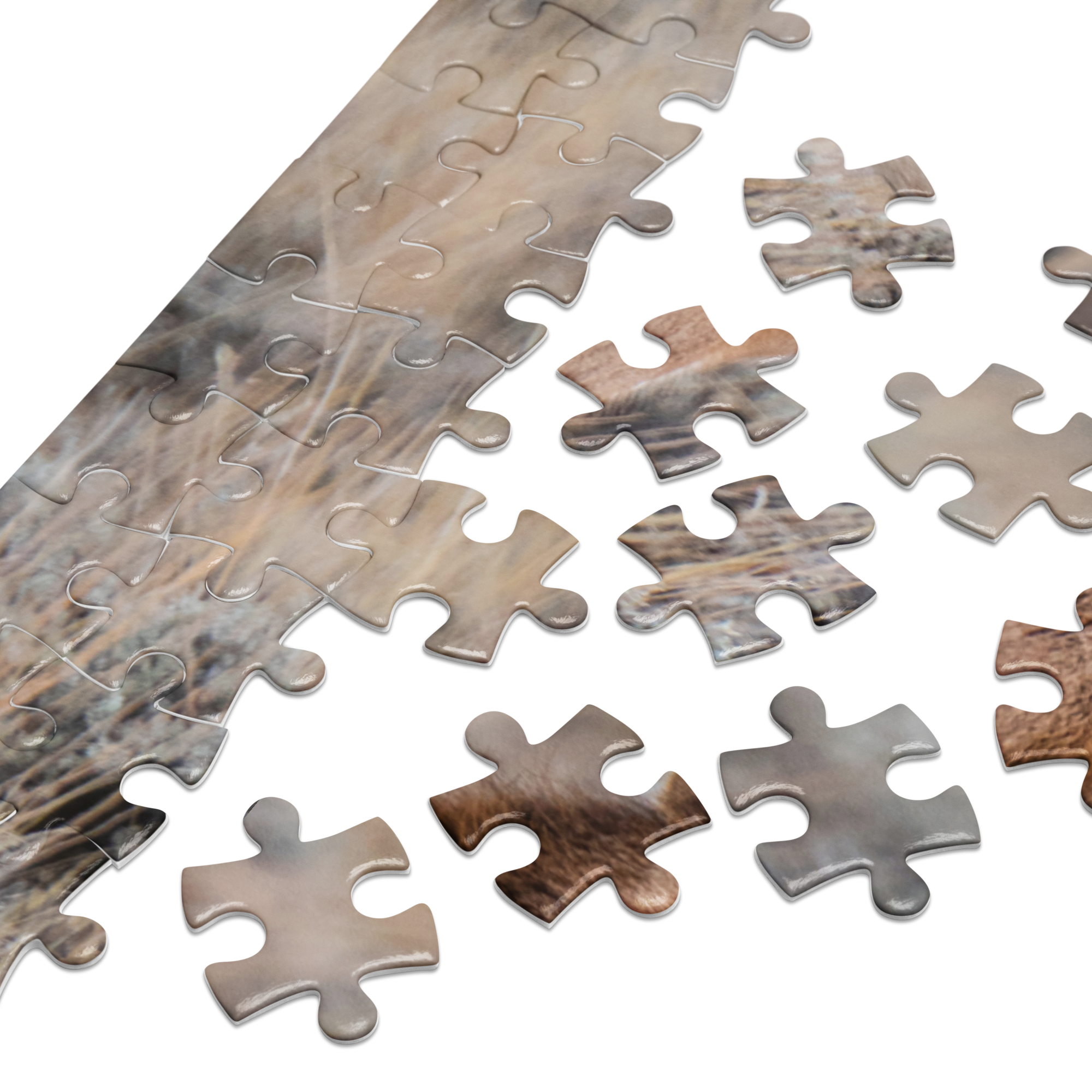 Pronghorn Jigsaw puzzle with tin