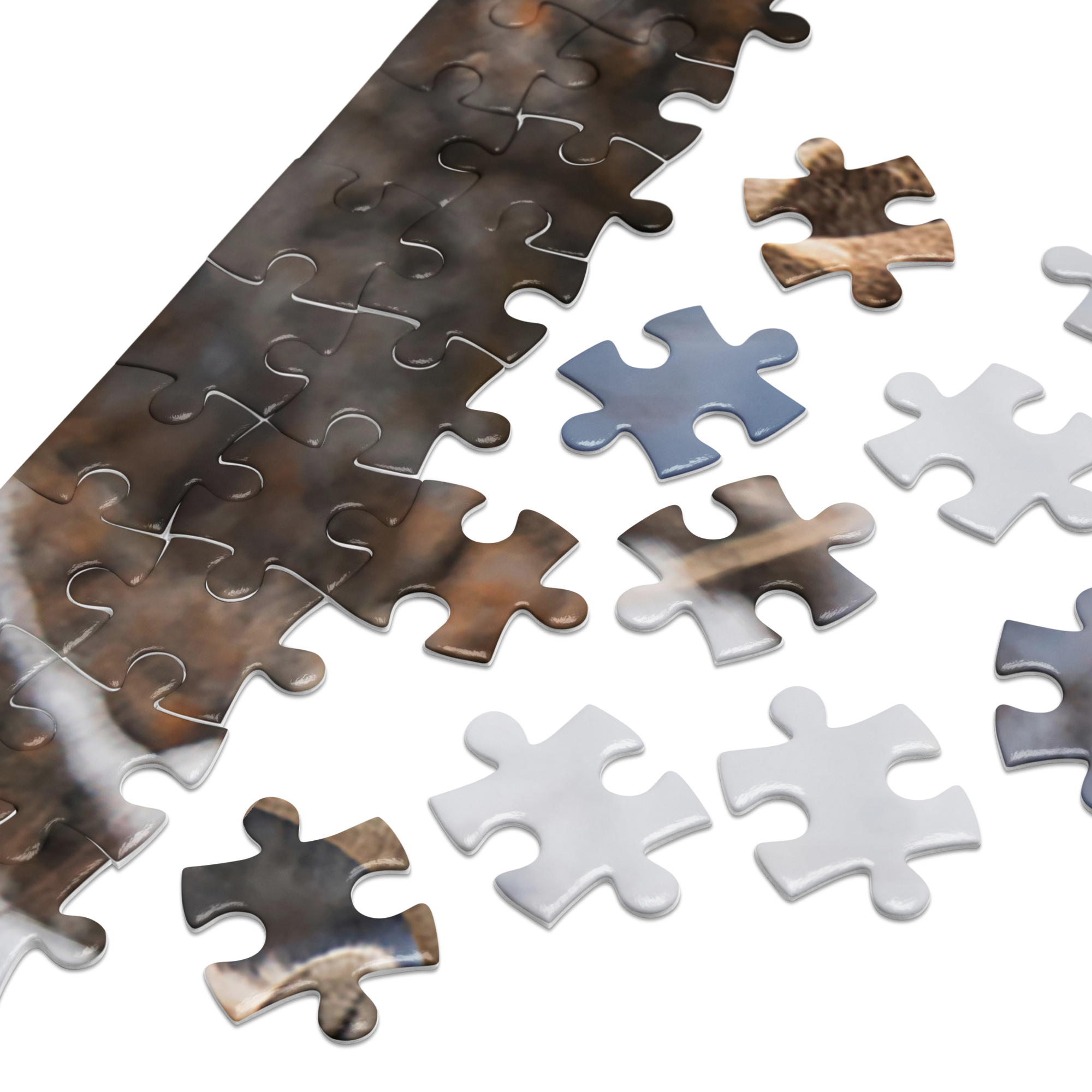Bighorn Sheep Puzzle — Where the Wild Comes Together, Piece by Piece