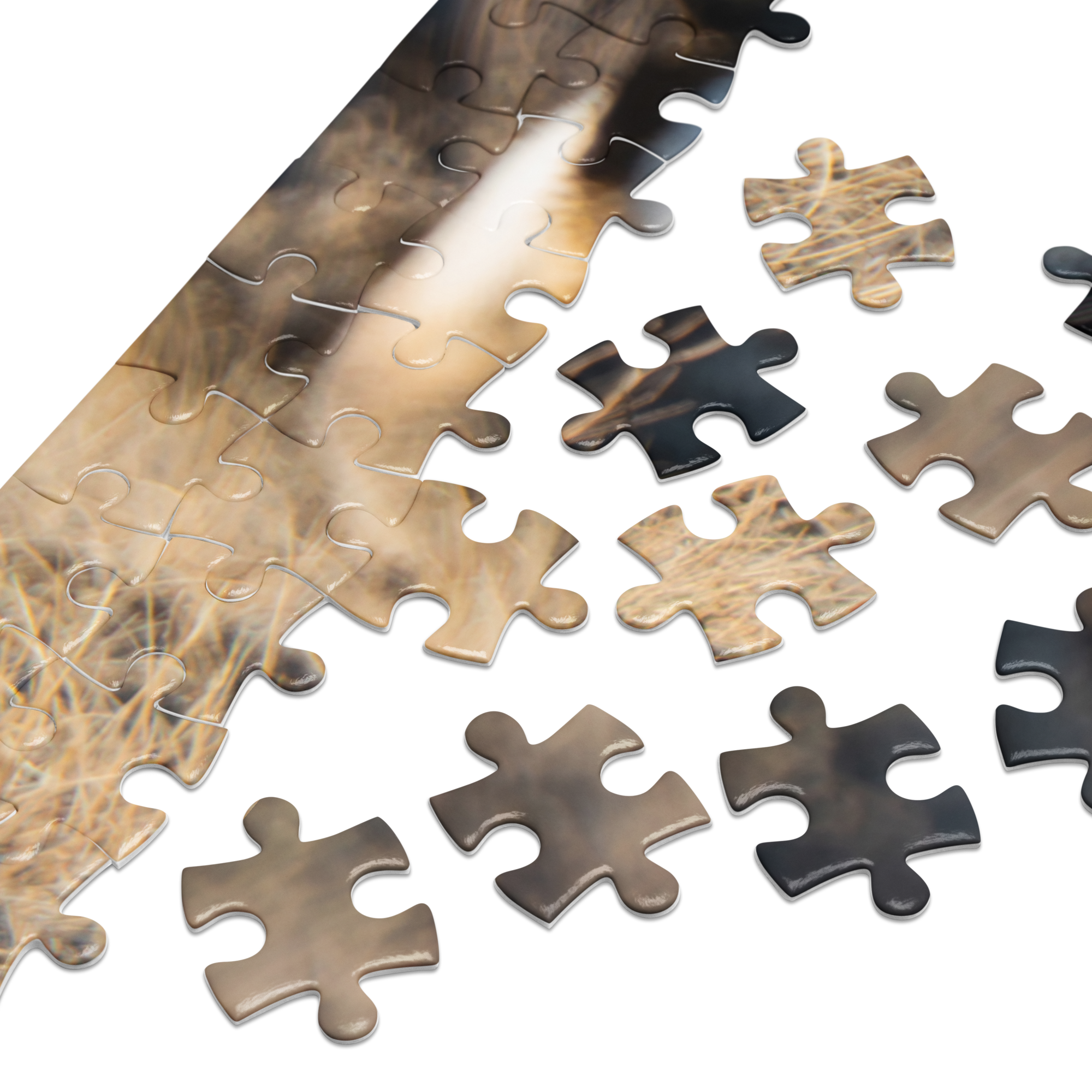 Sage Grouse Lek Puzzle — Witness the Wild, Piece by Piece