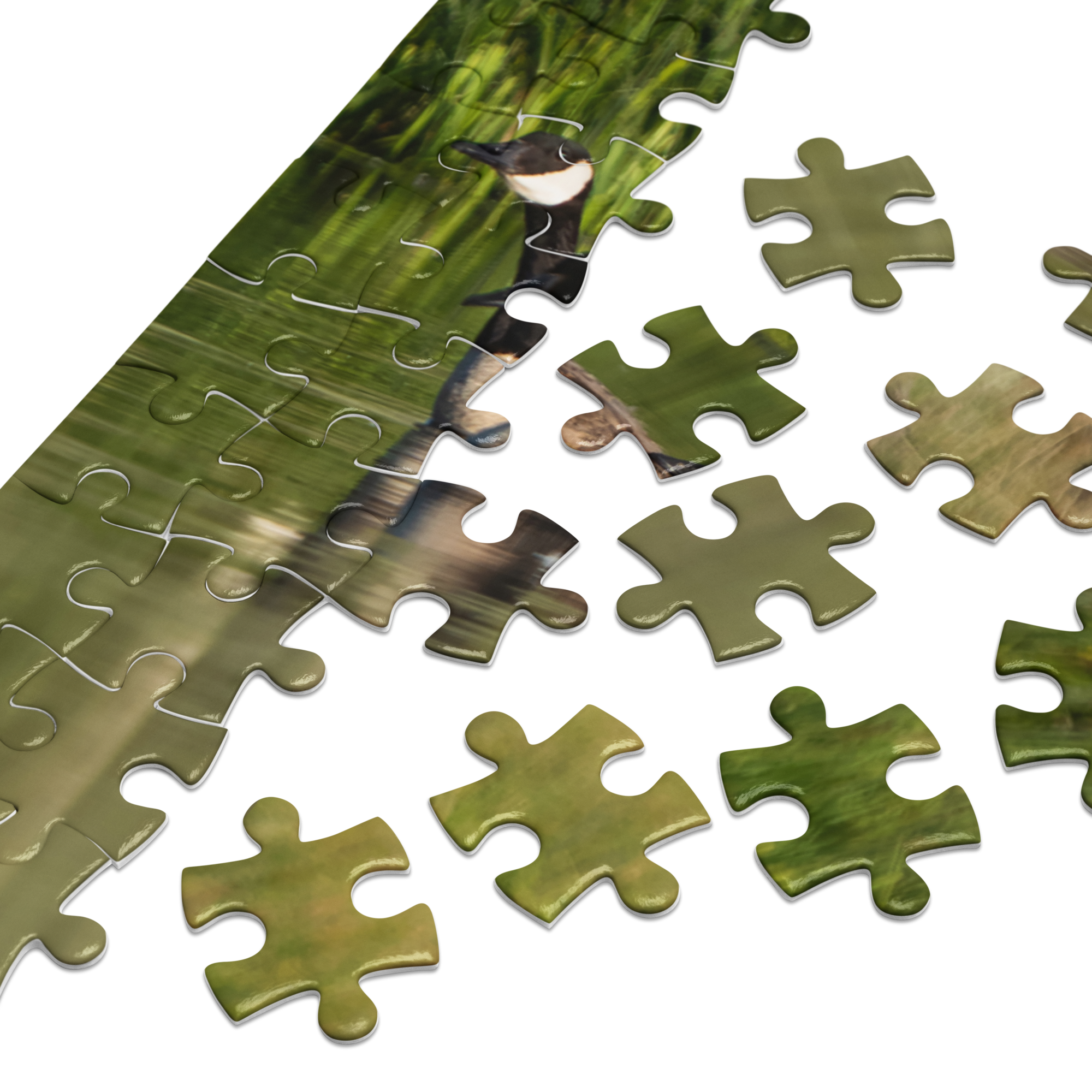 Canada Geese Jigsaw puzzle with tin