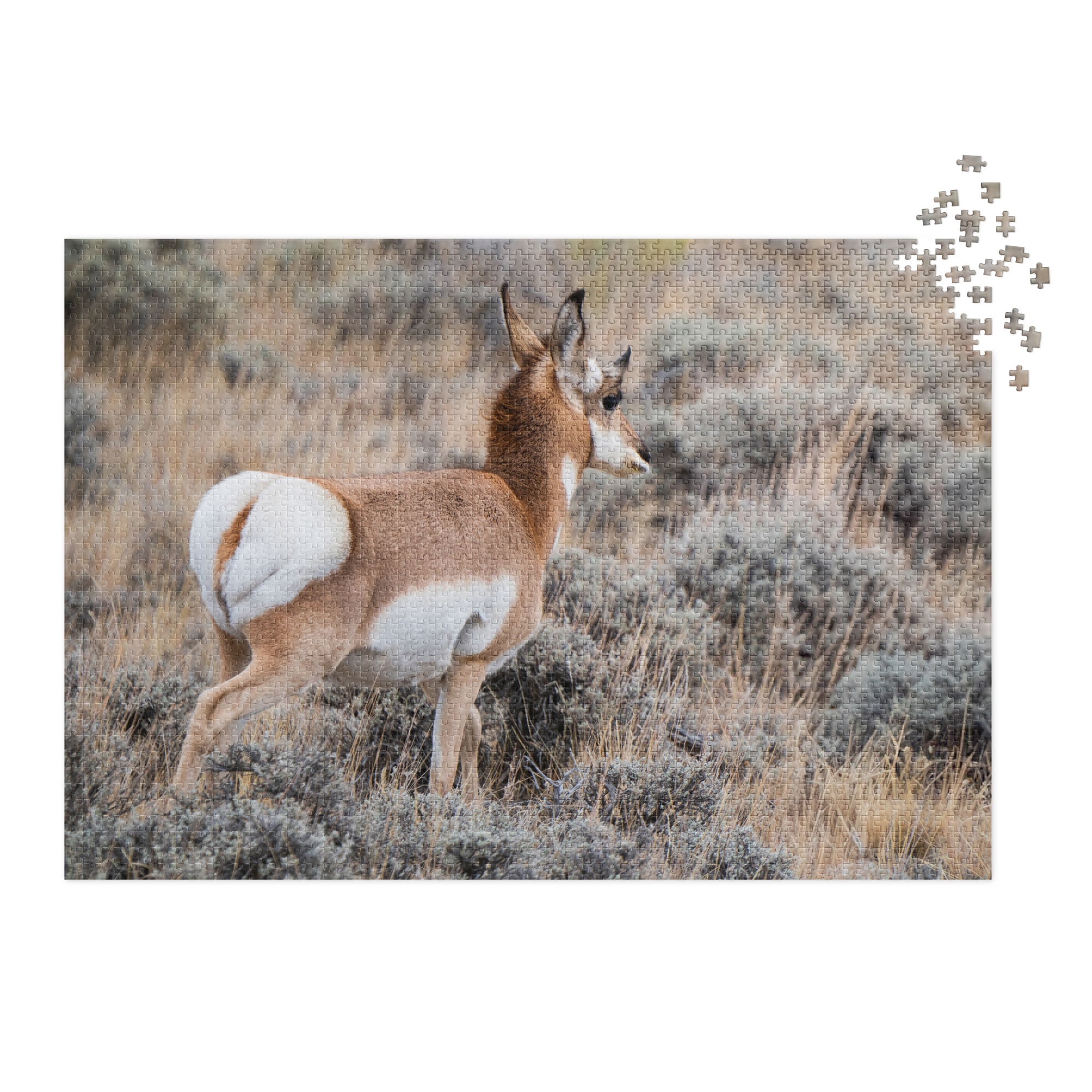 Pronghorn Jigsaw puzzle with tin