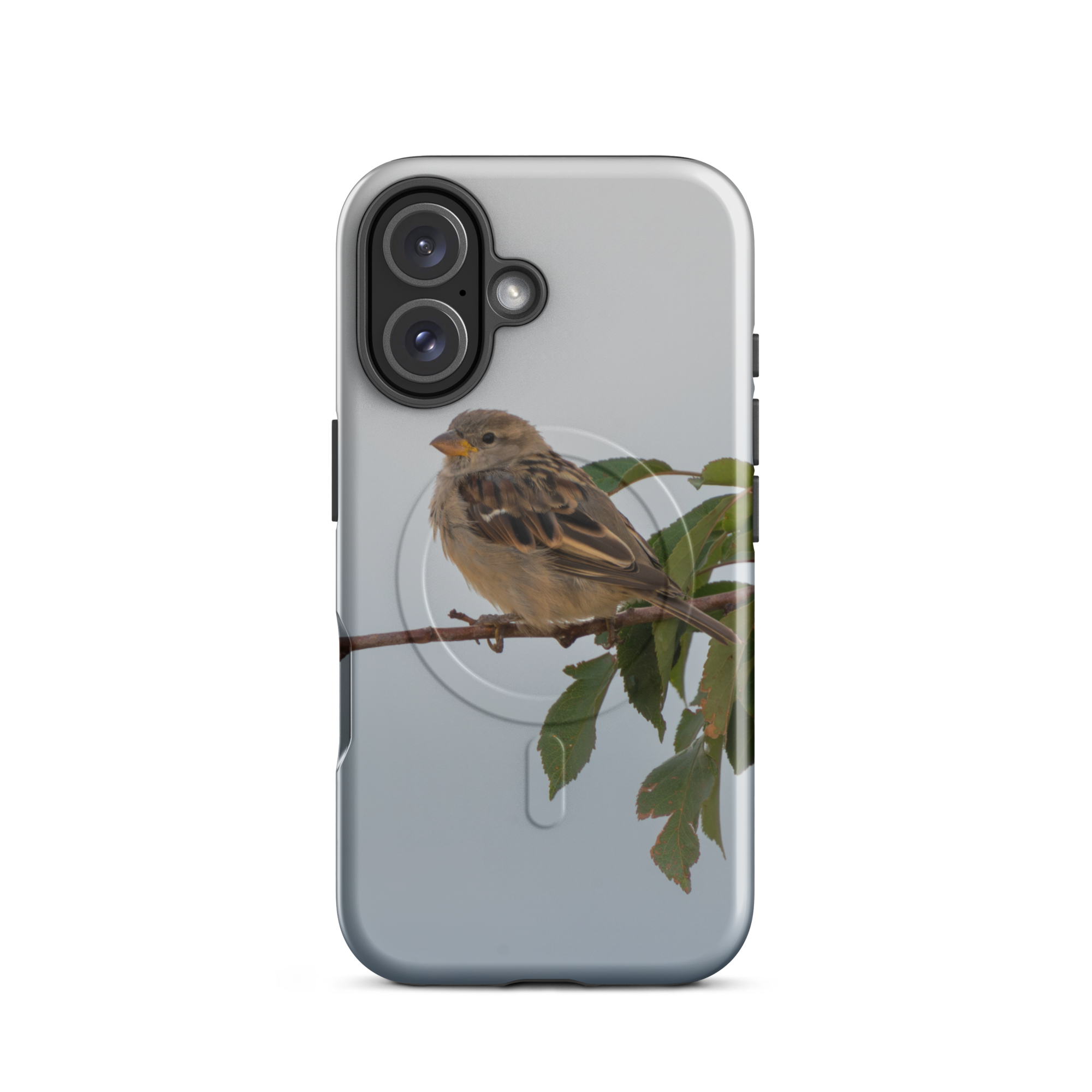 Common Sparrow MagSafe® tough case for iPhone®