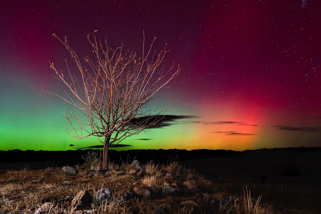 God Painted the Night