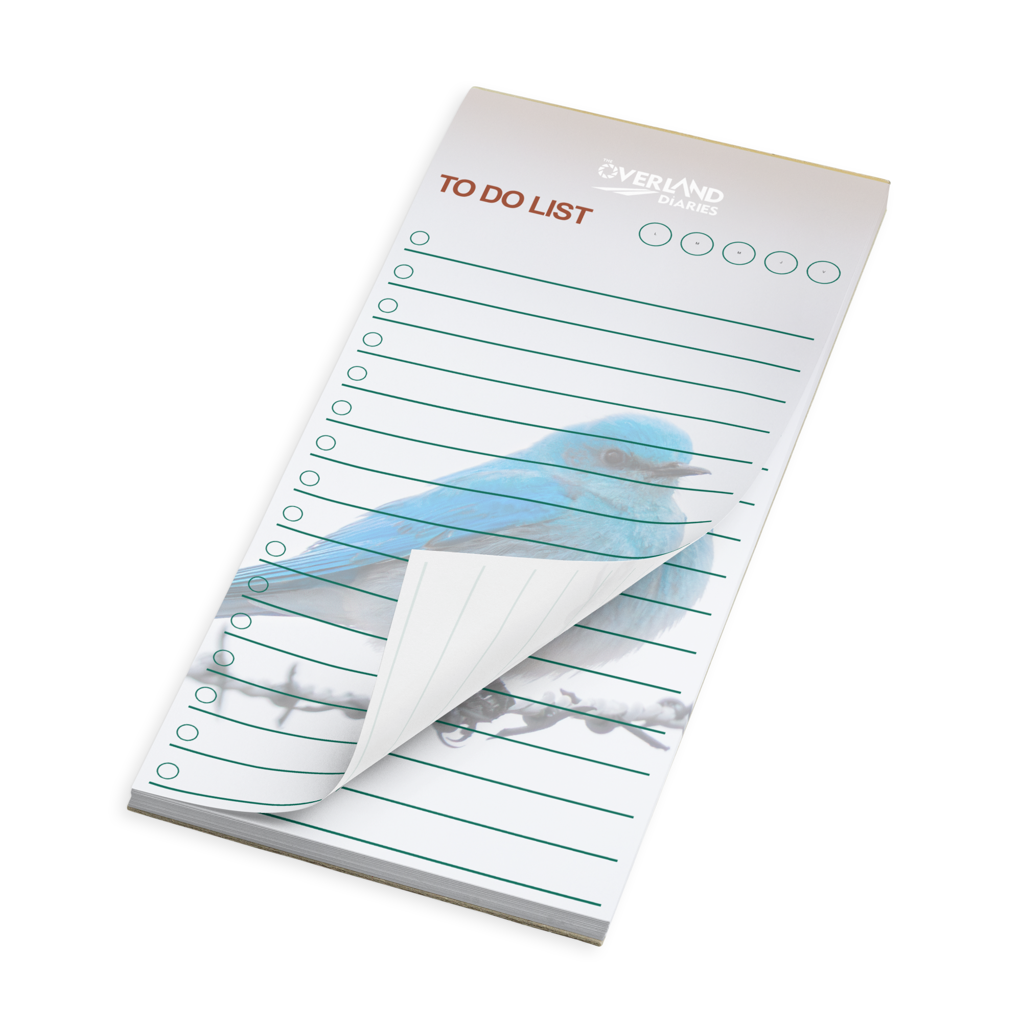 Mountain Bluebird Notepad · Wyoming Spring