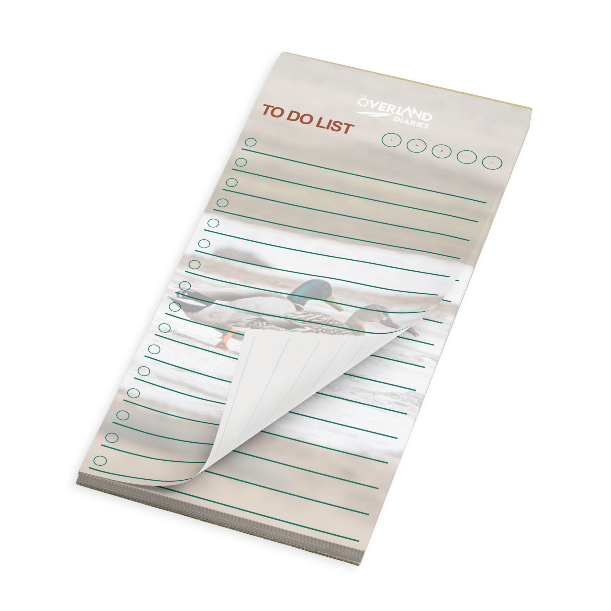 Mallard Moments Notepad · Wyoming Spring