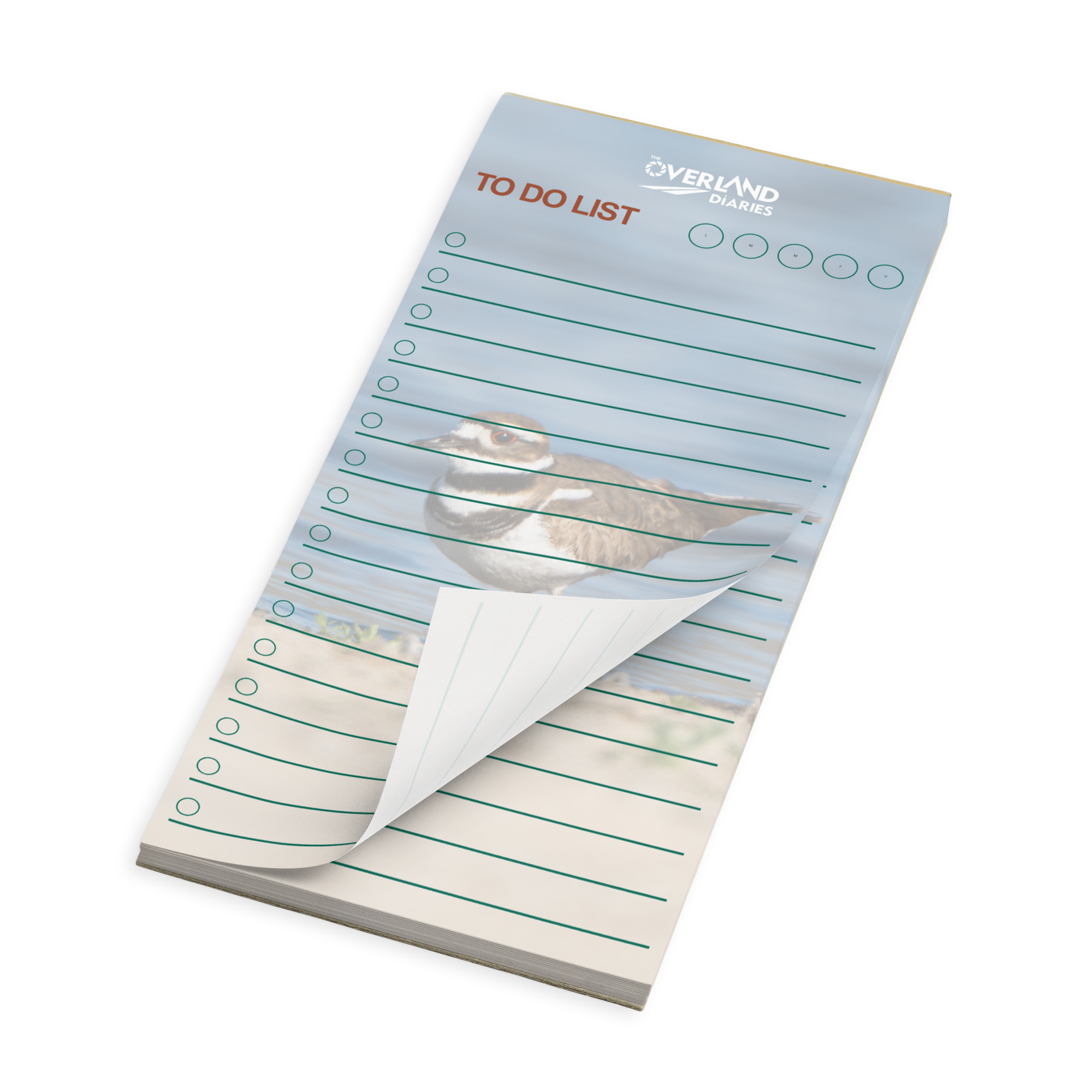 Scurrying Killdeer Notepad