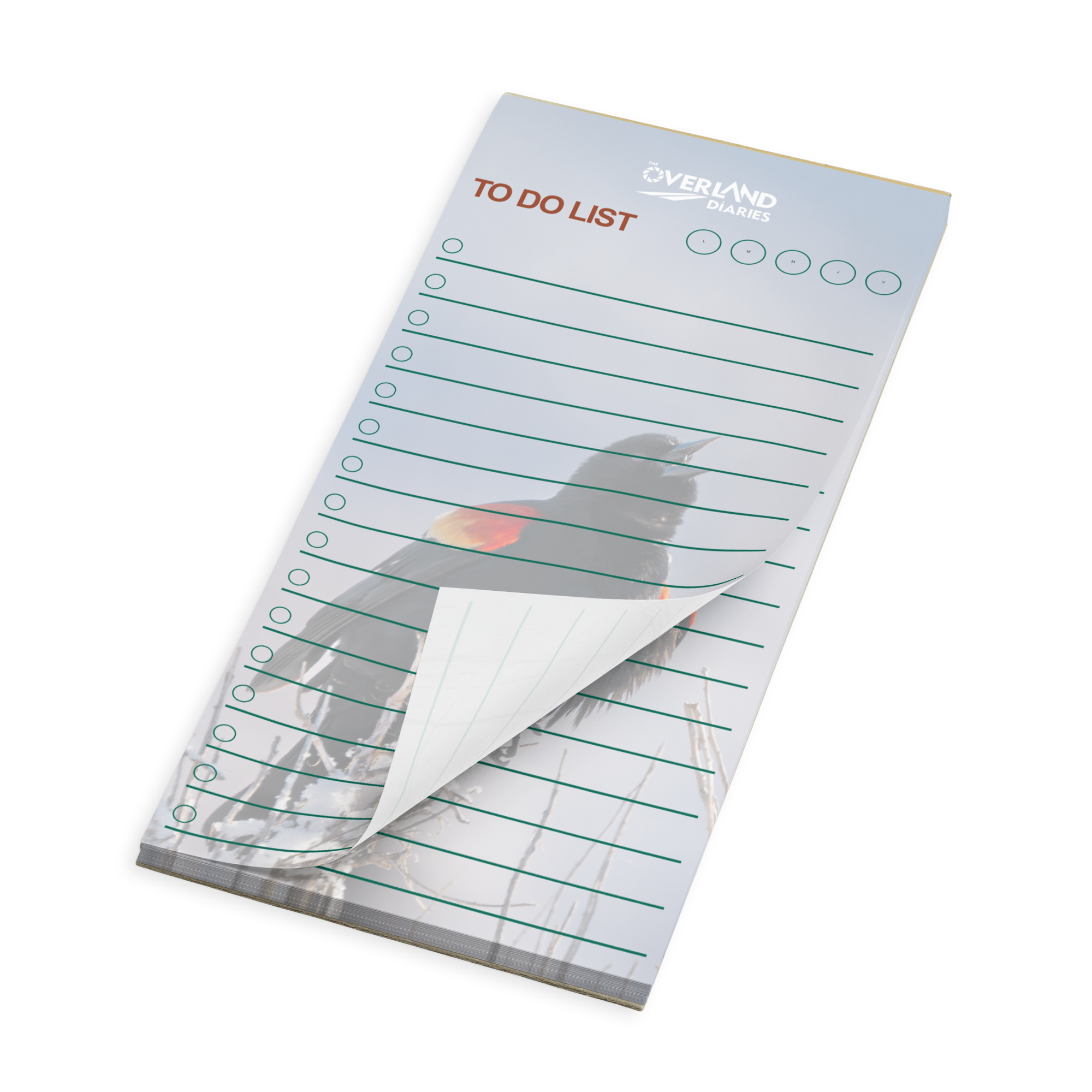 First Song of Spring Notepad · Red-Winged Blackbird