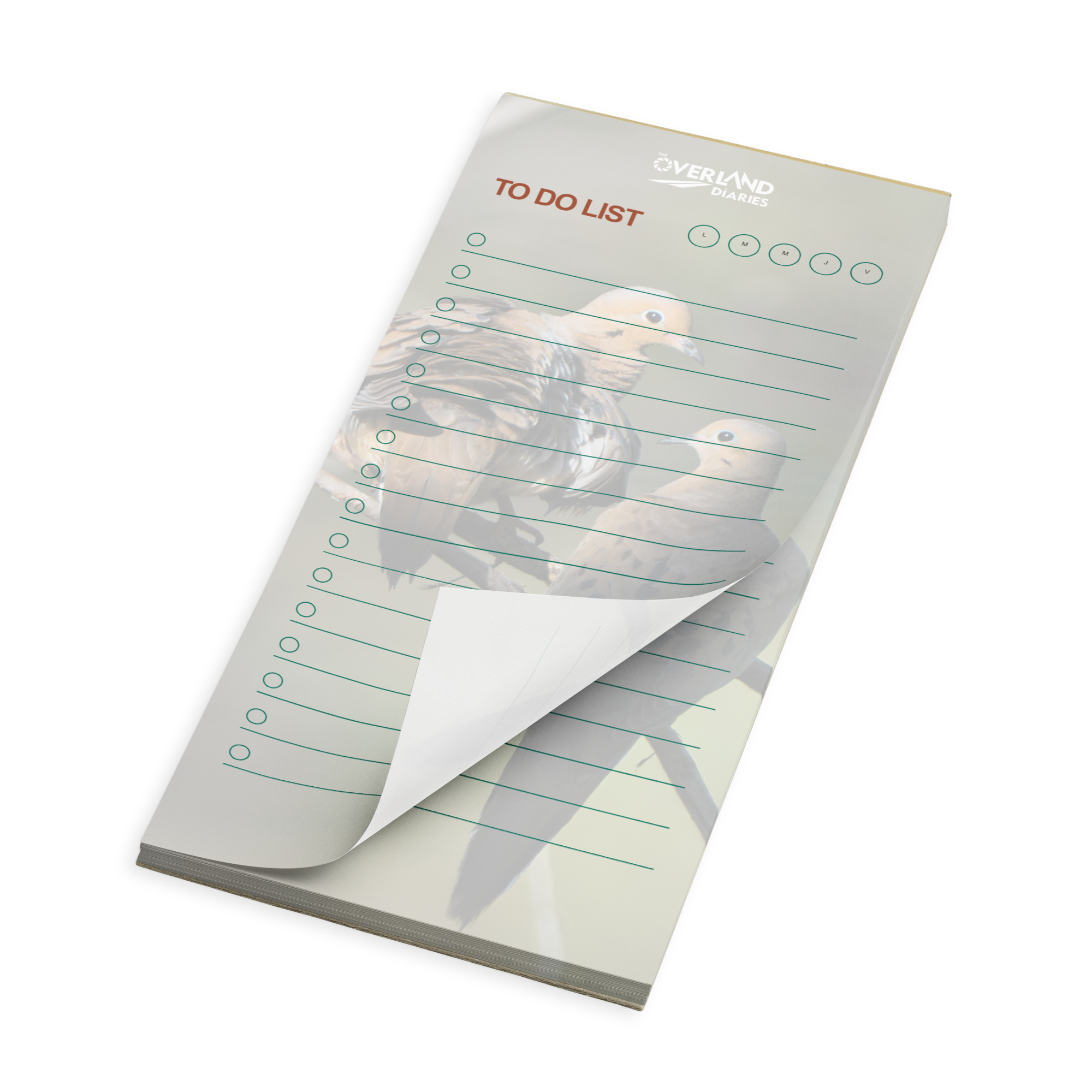 Golden Hour Mourning Doves Notepad