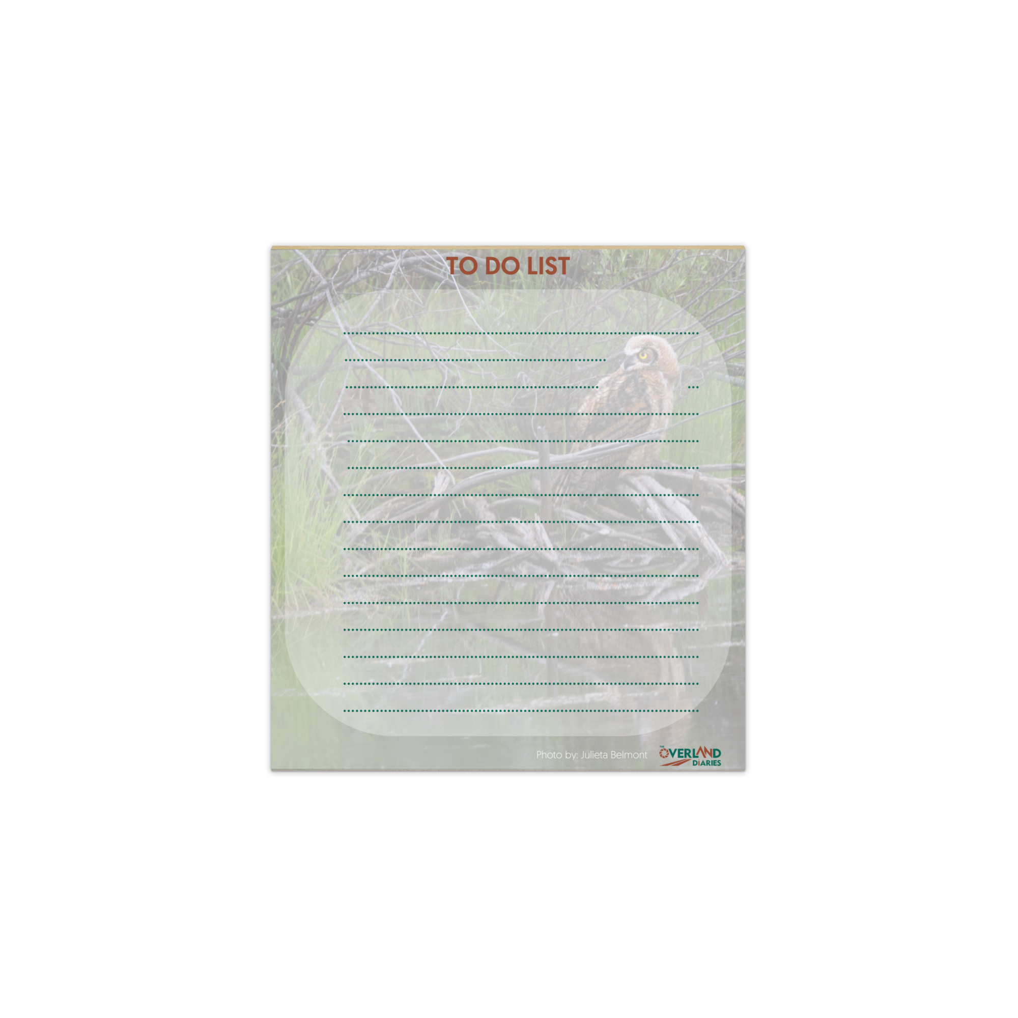 Owlet Notepad