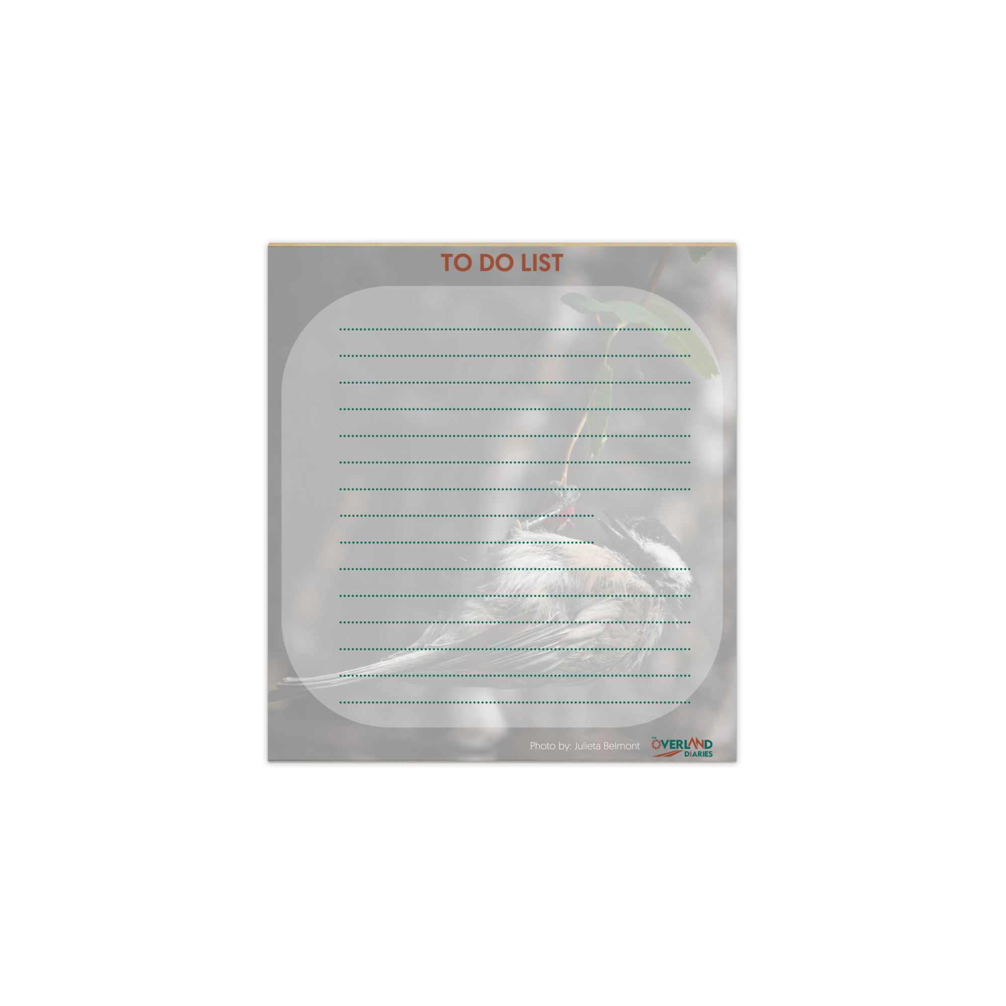 Chickadee Notepad