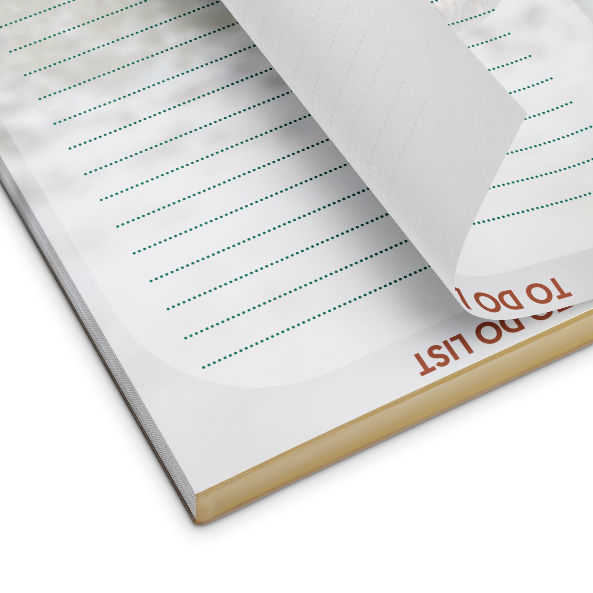 Killdeer Notepad
