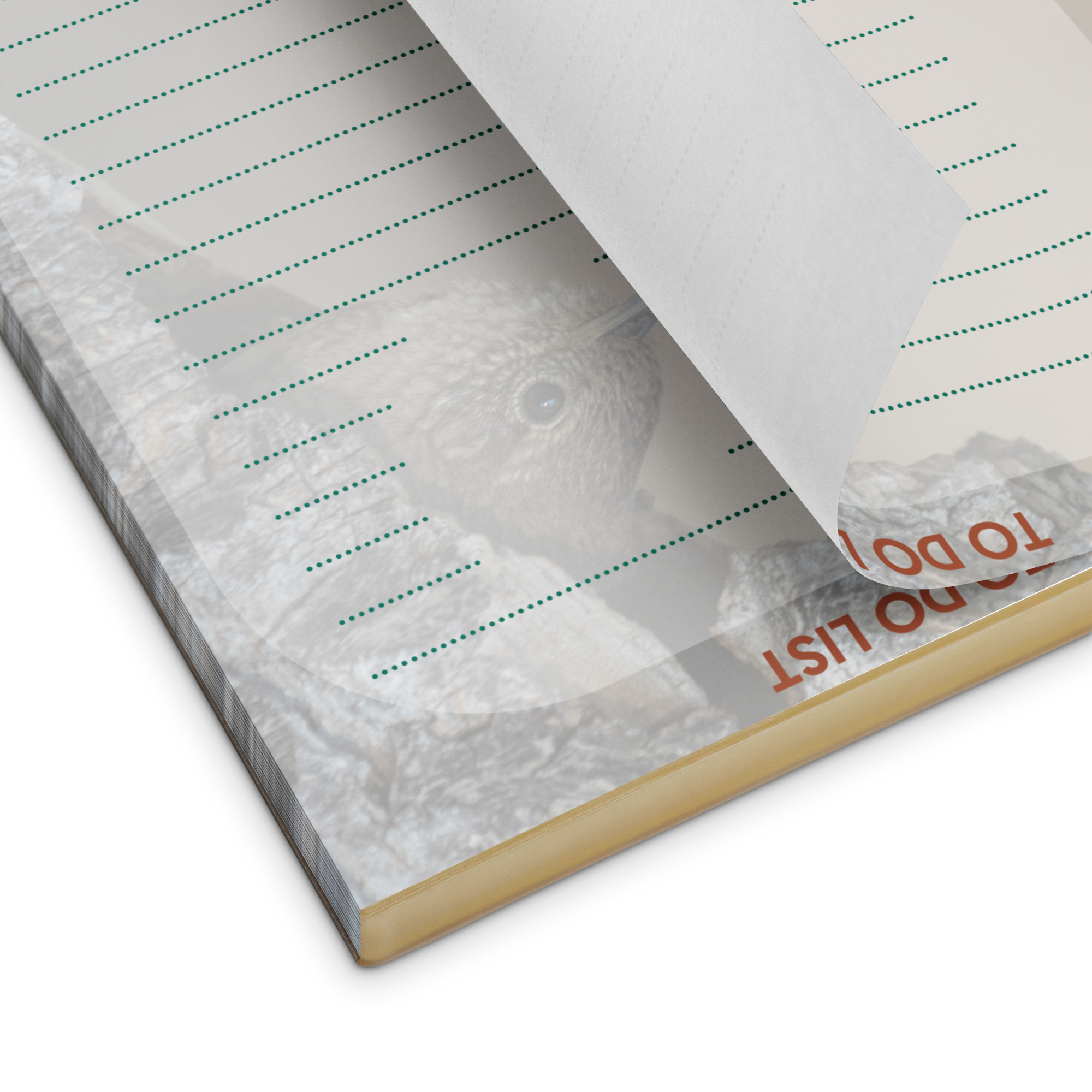 Wren Notepad