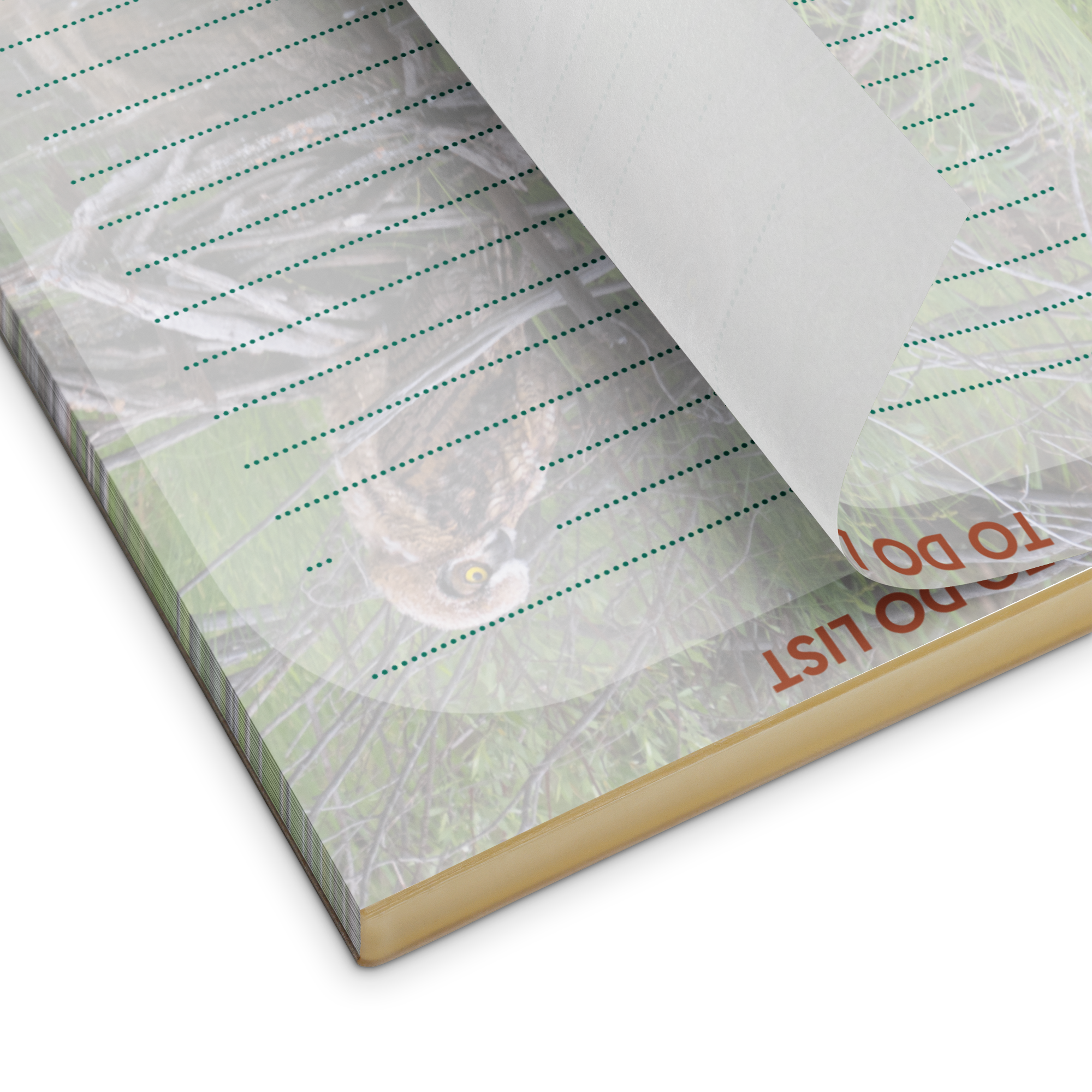 Owlet Notepad