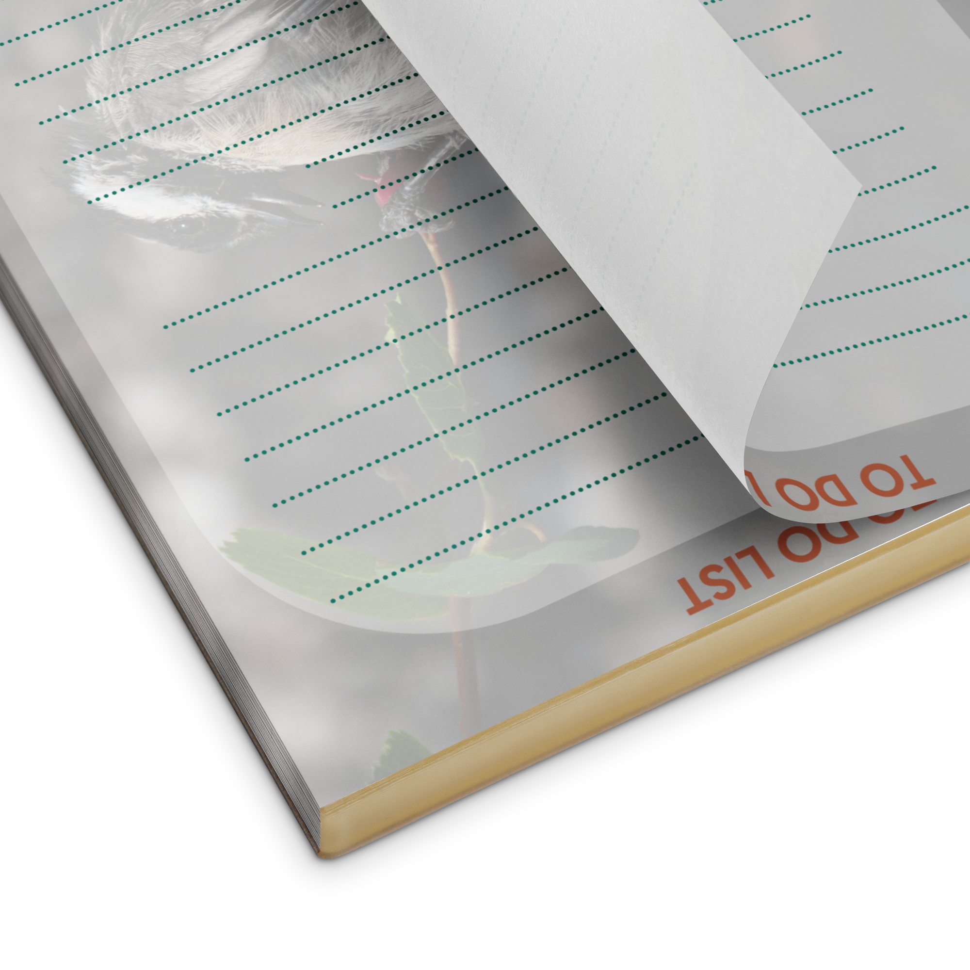 Chickadee Notepad