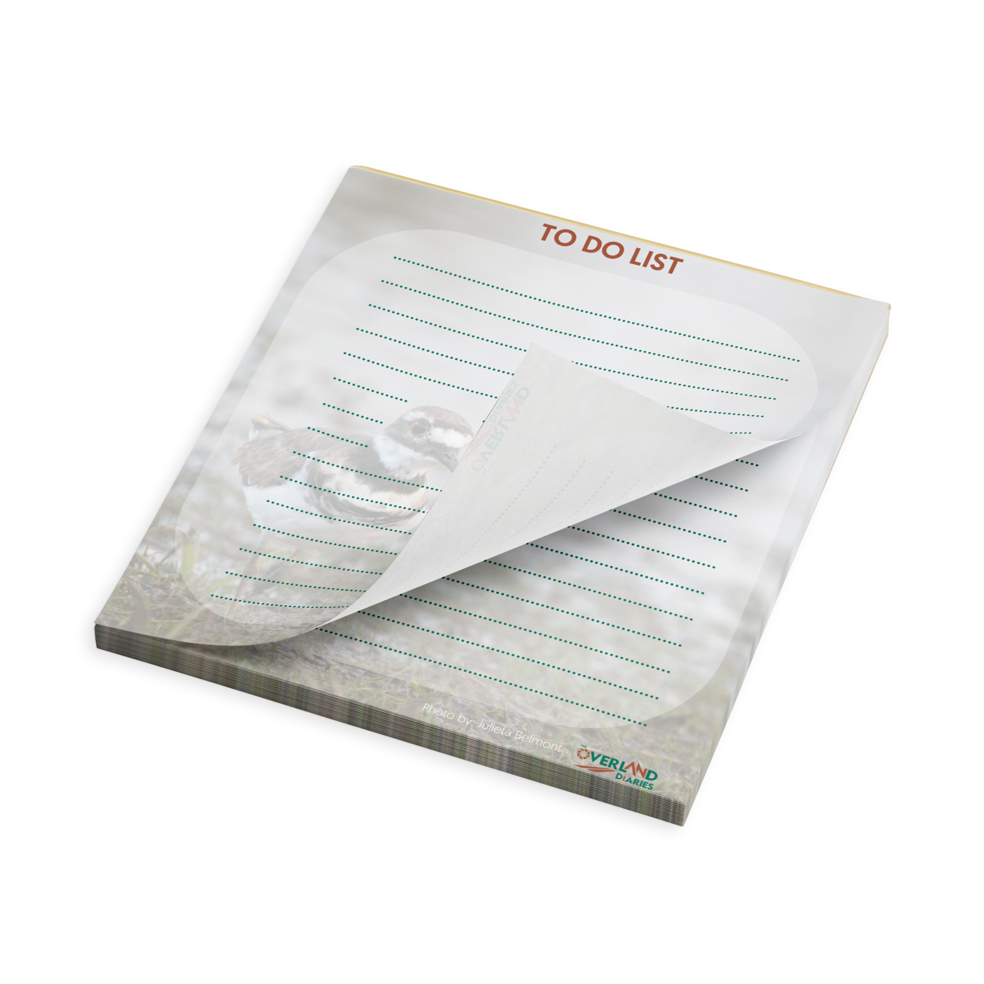 Killdeer Notepad