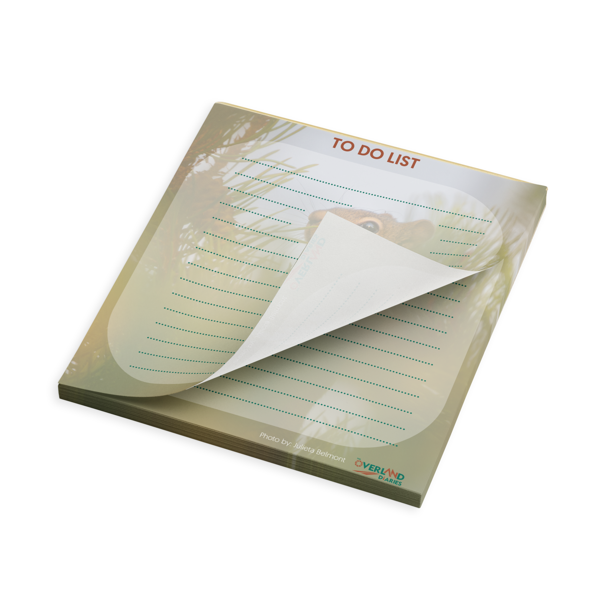 Squirrel Notepad