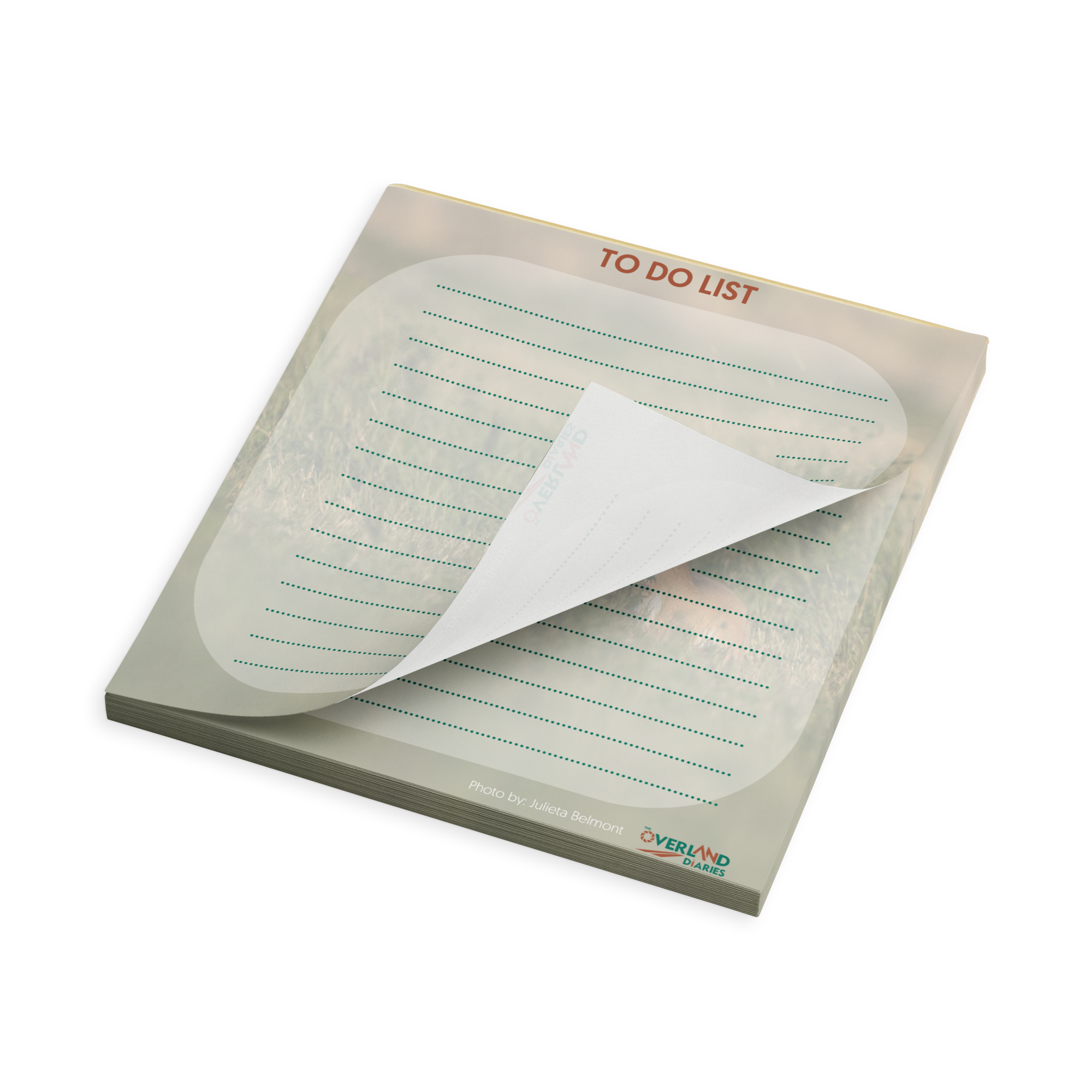 Pronghorn Notepad
