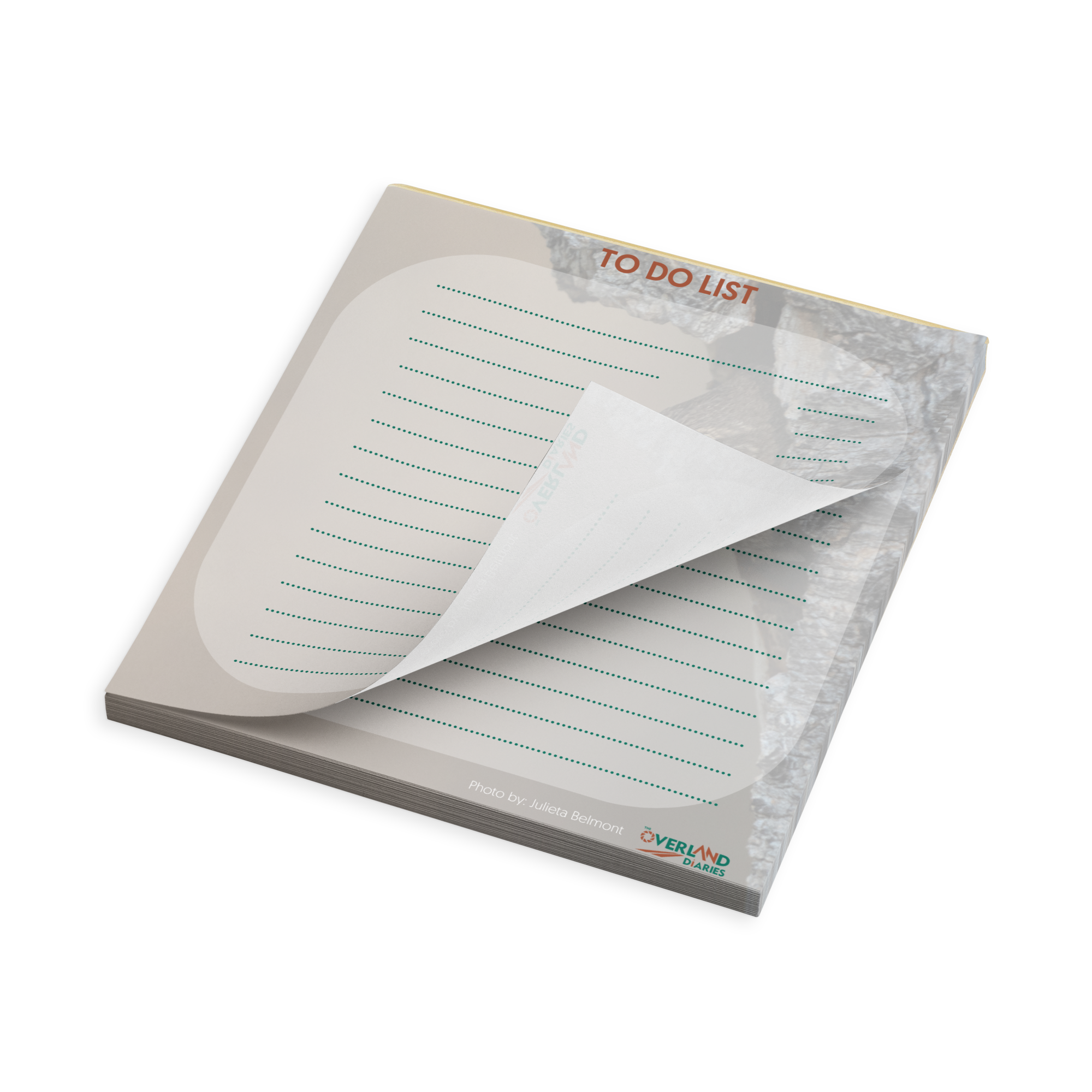 Wren Notepad