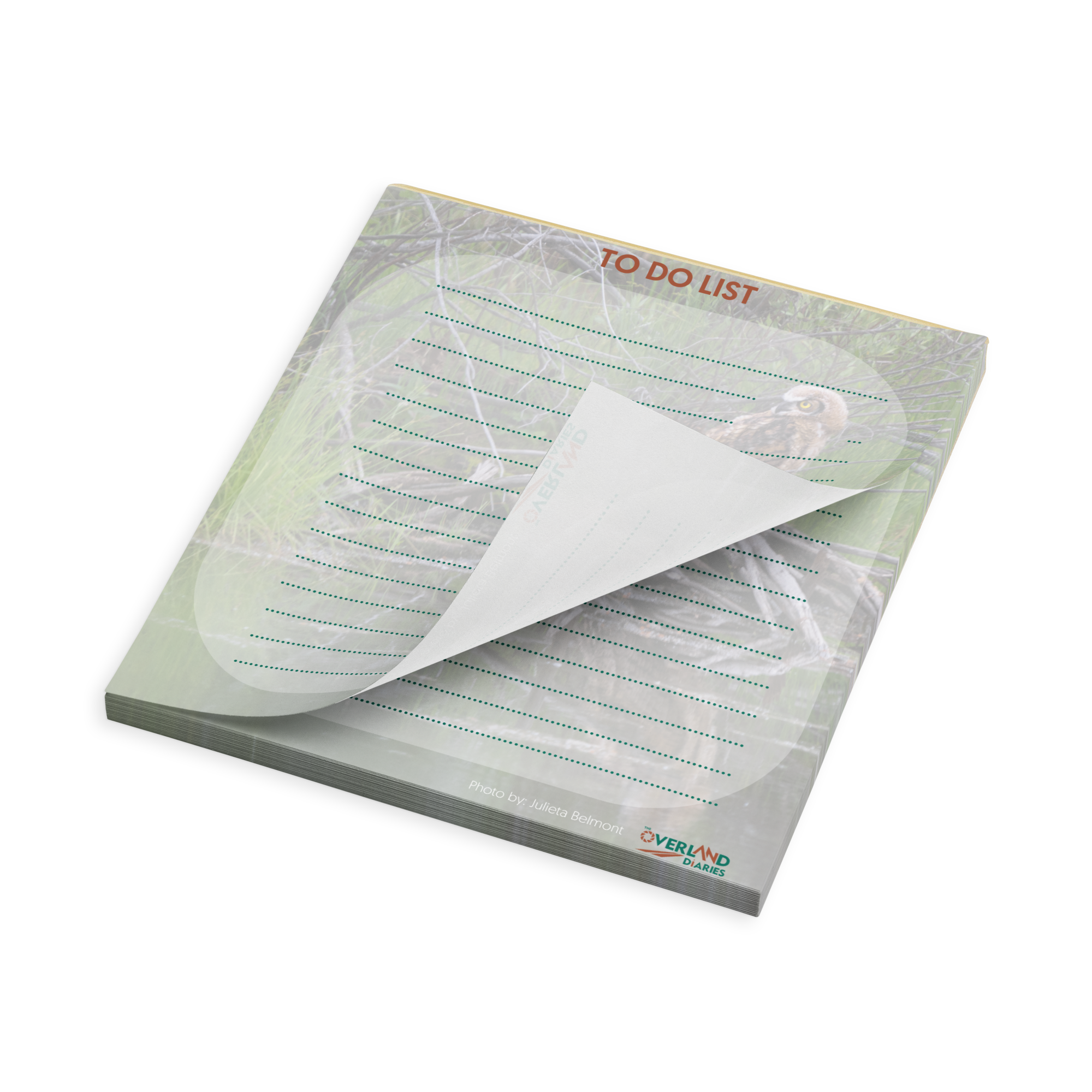 Owlet Notepad