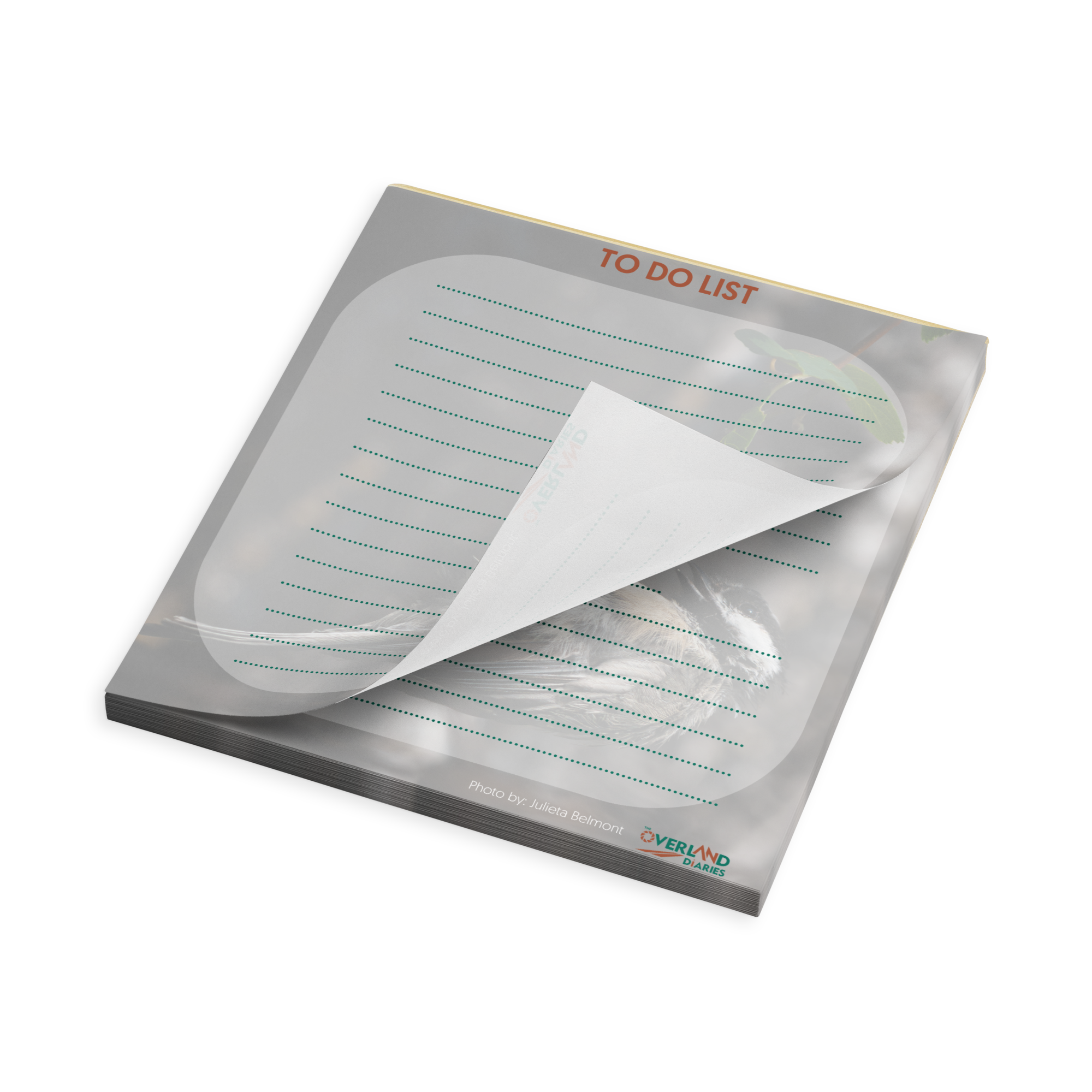Chickadee Notepad
