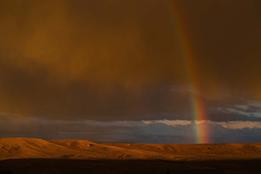 God’s Promise in the Light