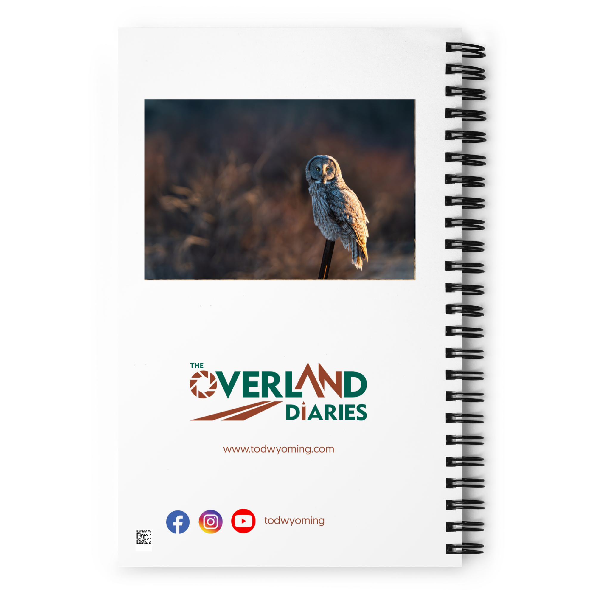 Where Night Meets Day — Owl Notebook